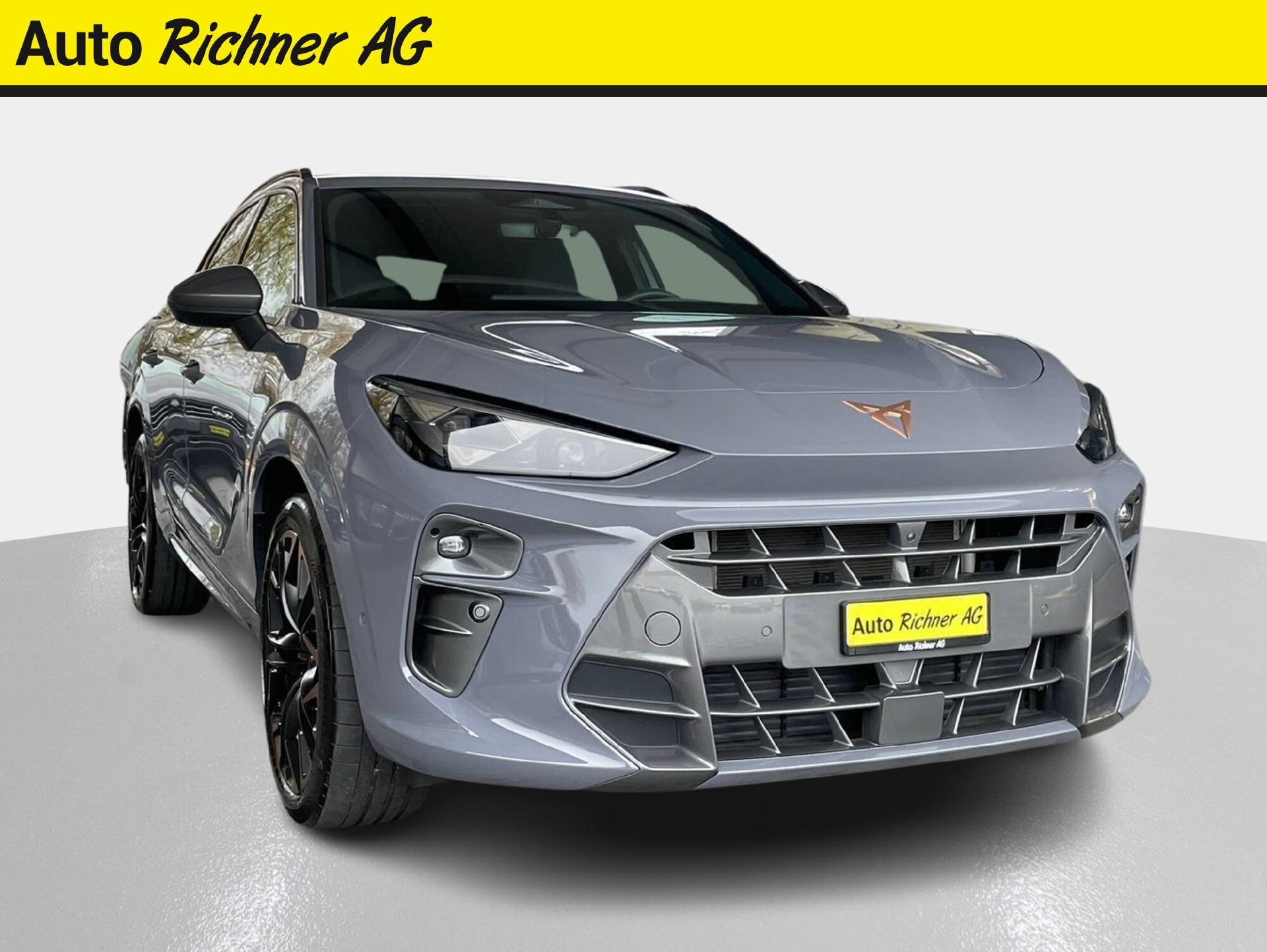 CUPRA Terramar 2.0 TSI VZ 4Drive DSG-image-0
