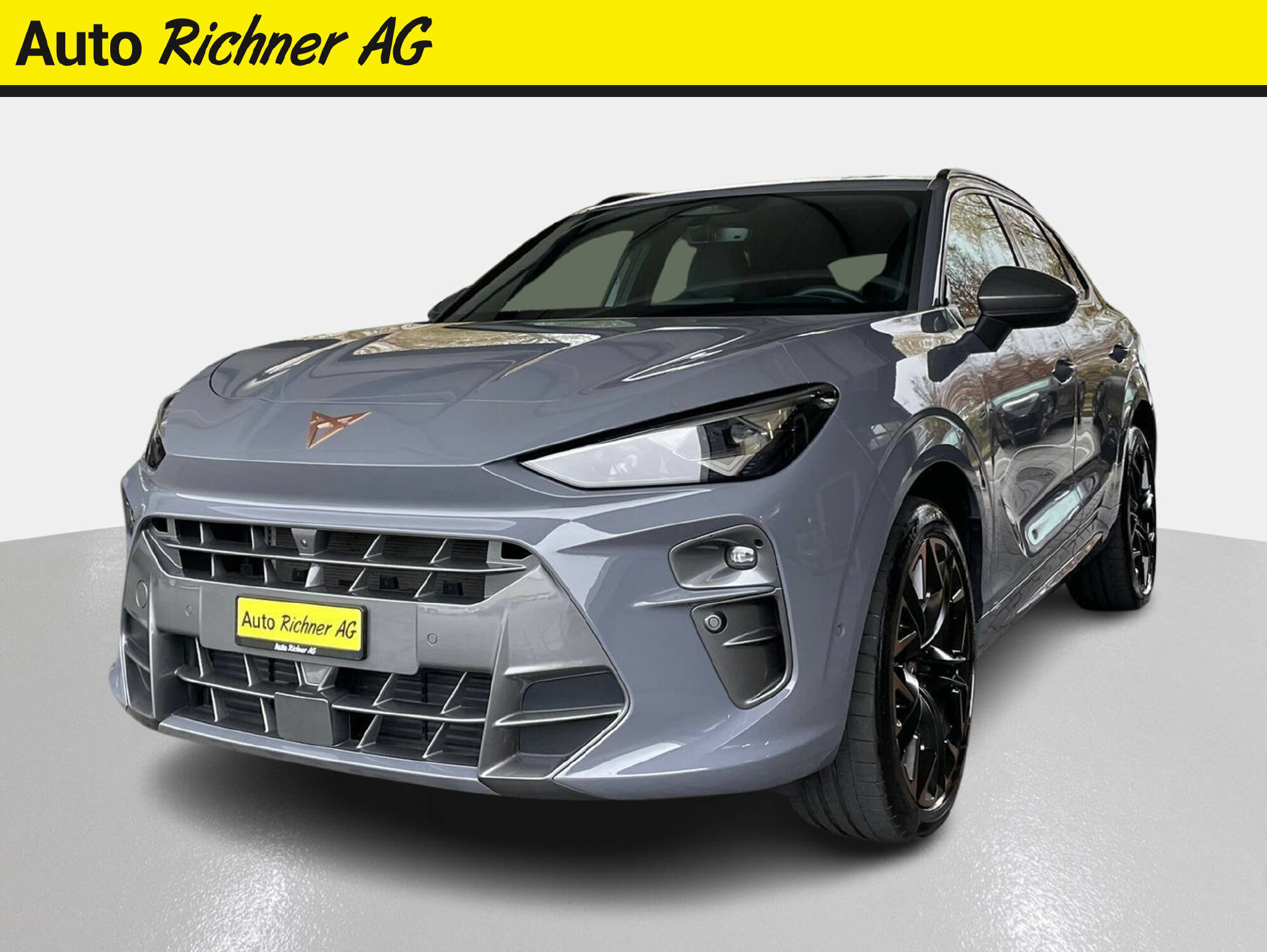 CUPRA Terramar 2.0 TSI VZ 4Drive DSG-image-1