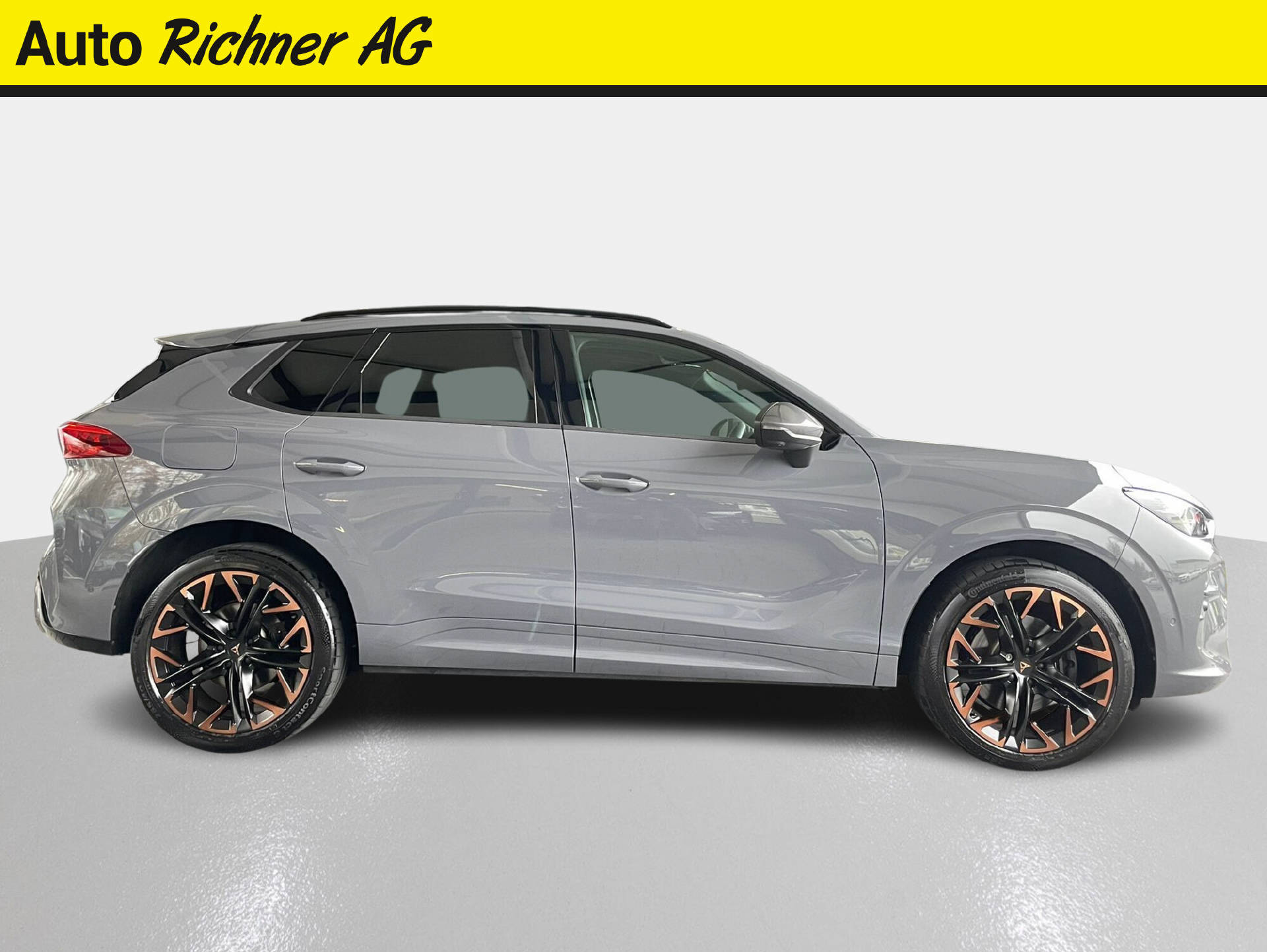 CUPRA Terramar 2.0 TSI VZ 4Drive DSG-image-2