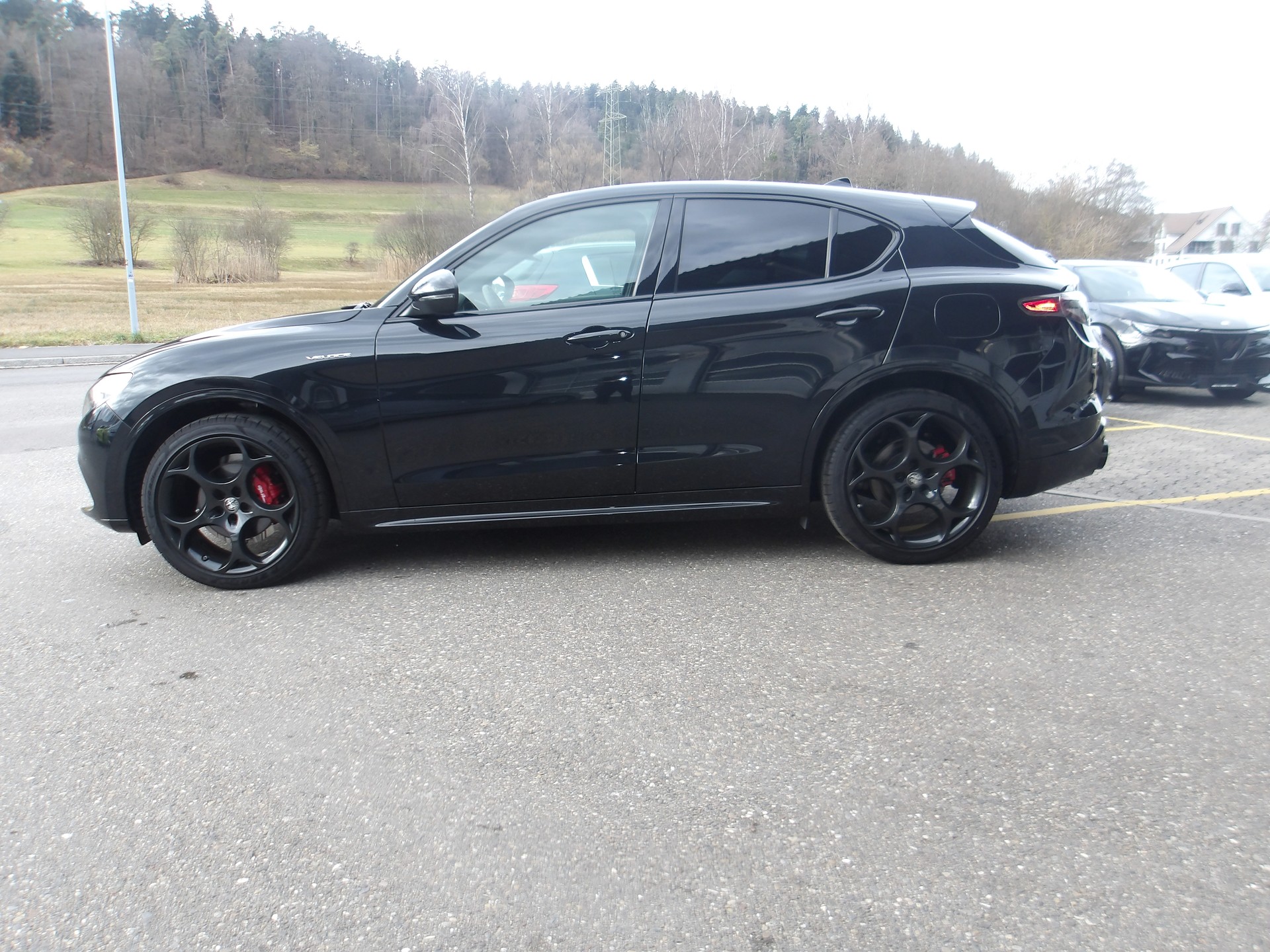 ALFA ROMEO Stelvio 2.0 Veloce Q4 AT8-image-1
