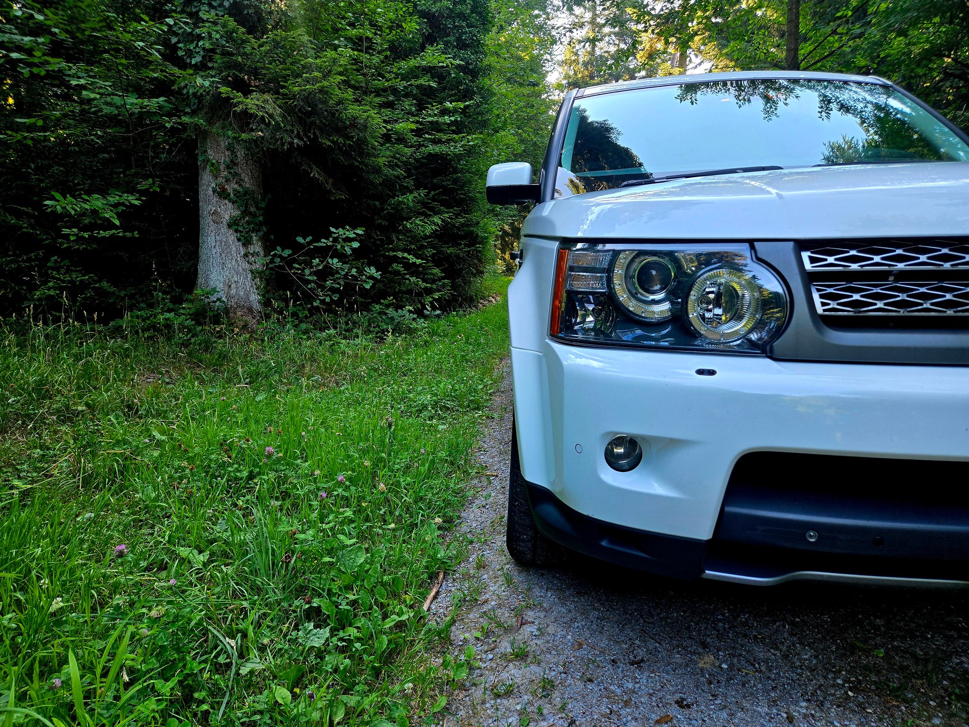 LAND ROVER Range Rover Sport 5.0 V8 SC Automatic-image-2