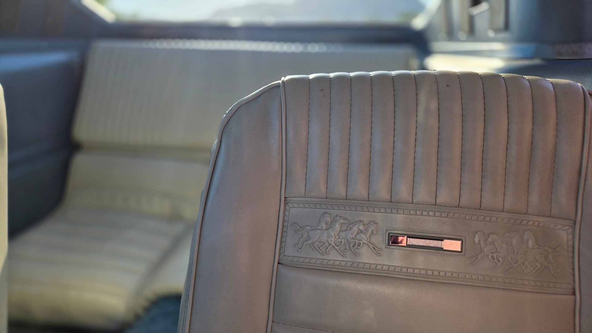 FORD MUSTANG-image-8