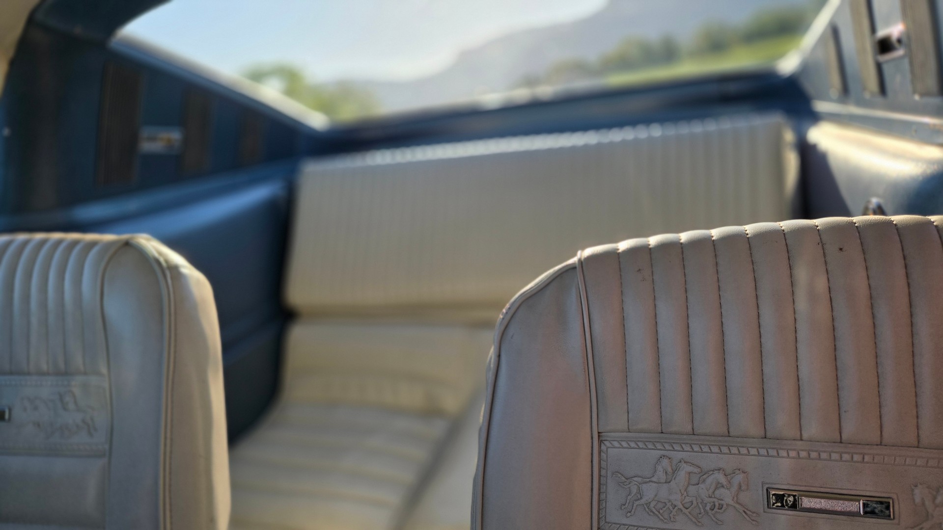 FORD MUSTANG-image-9