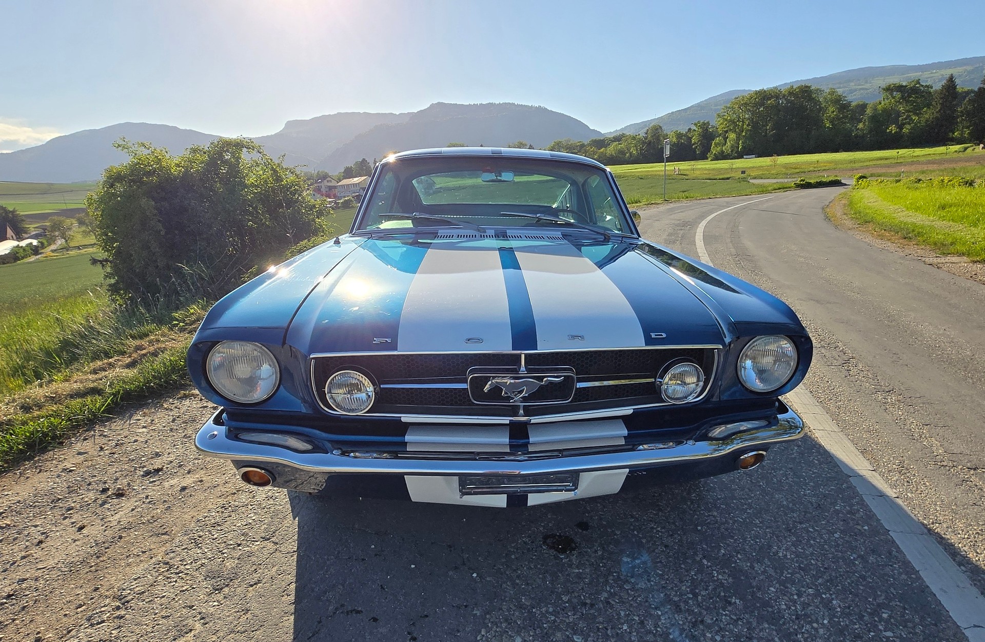 FORD MUSTANG-image-1