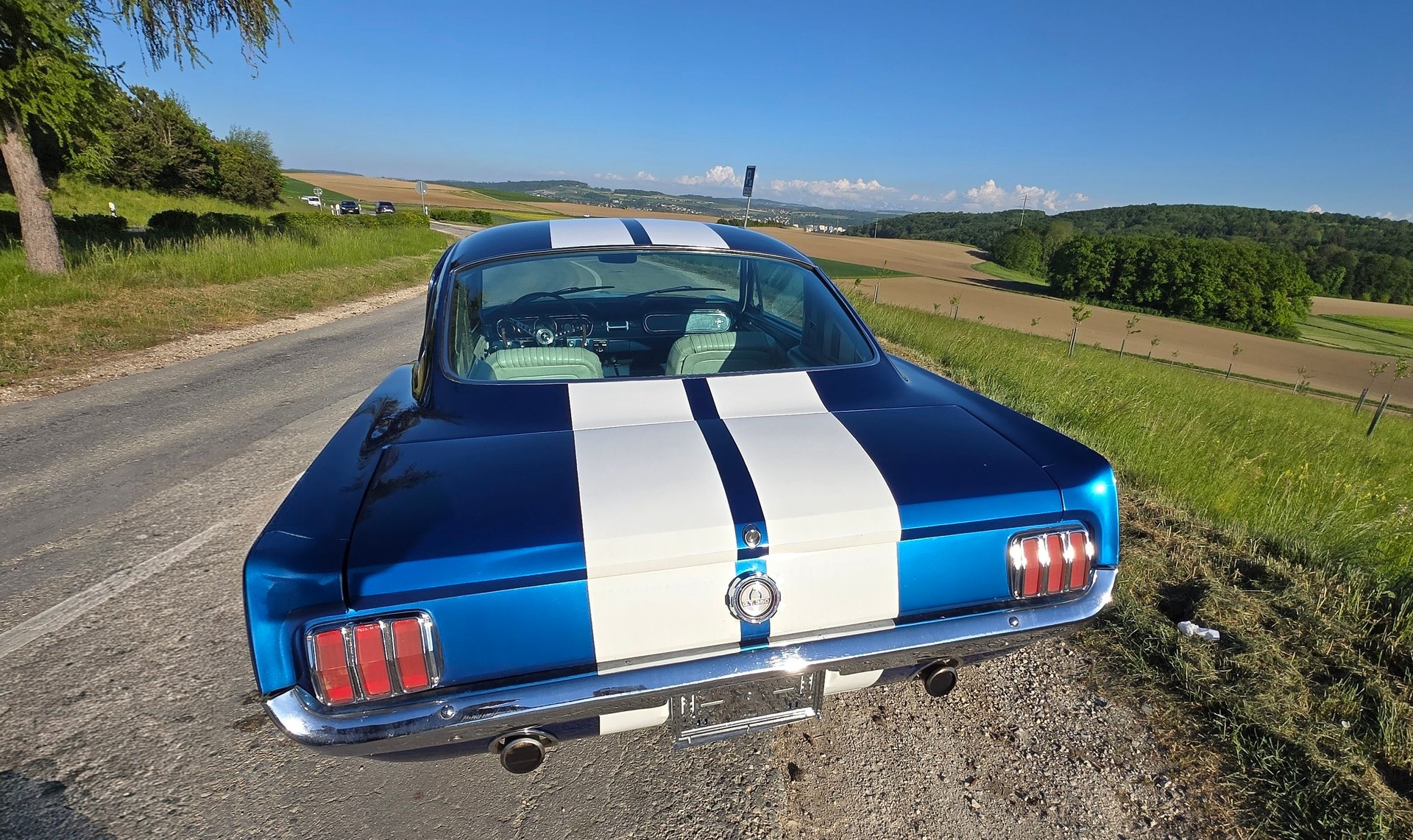 FORD MUSTANG-image-2