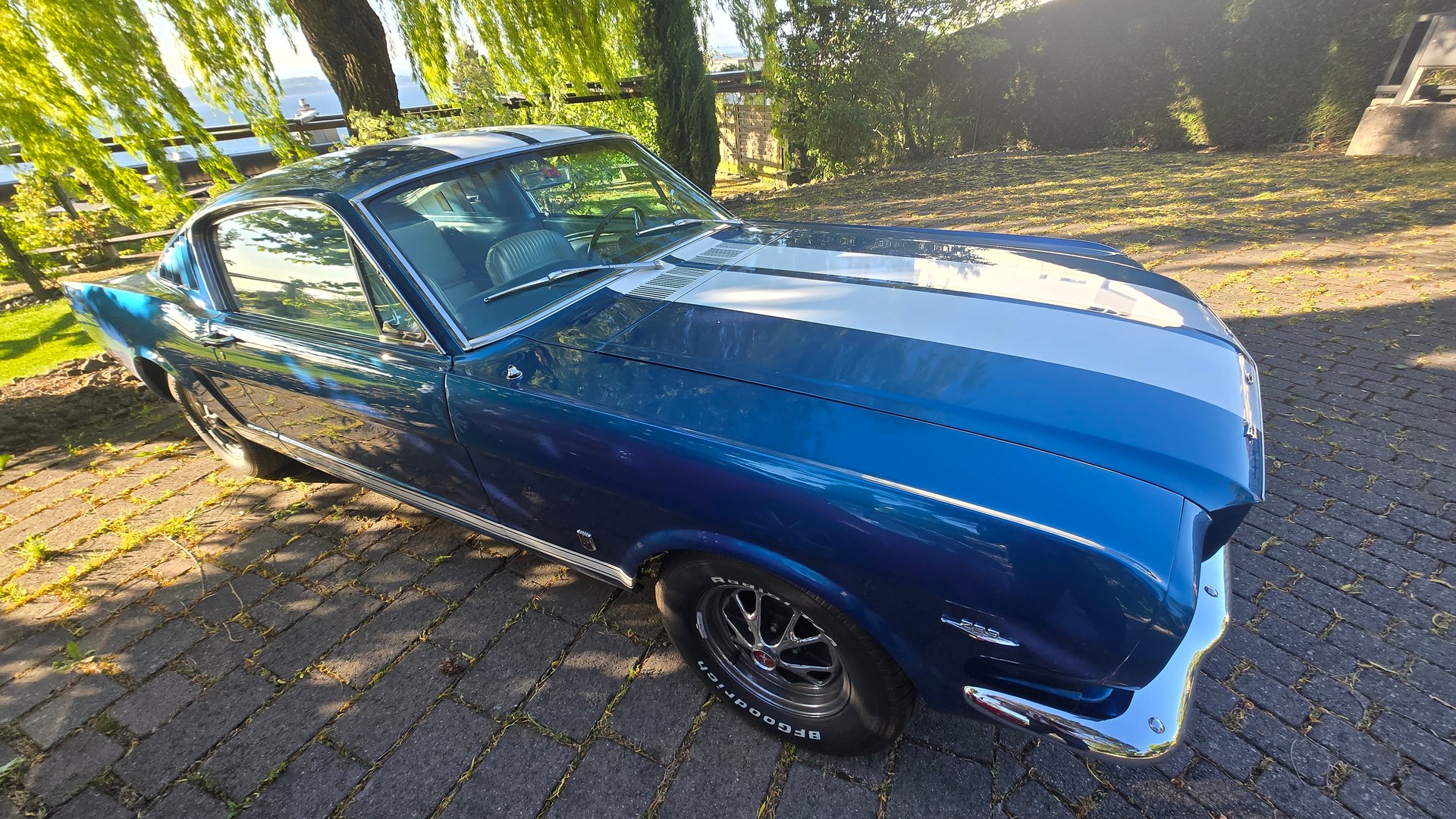 FORD MUSTANG-image-0