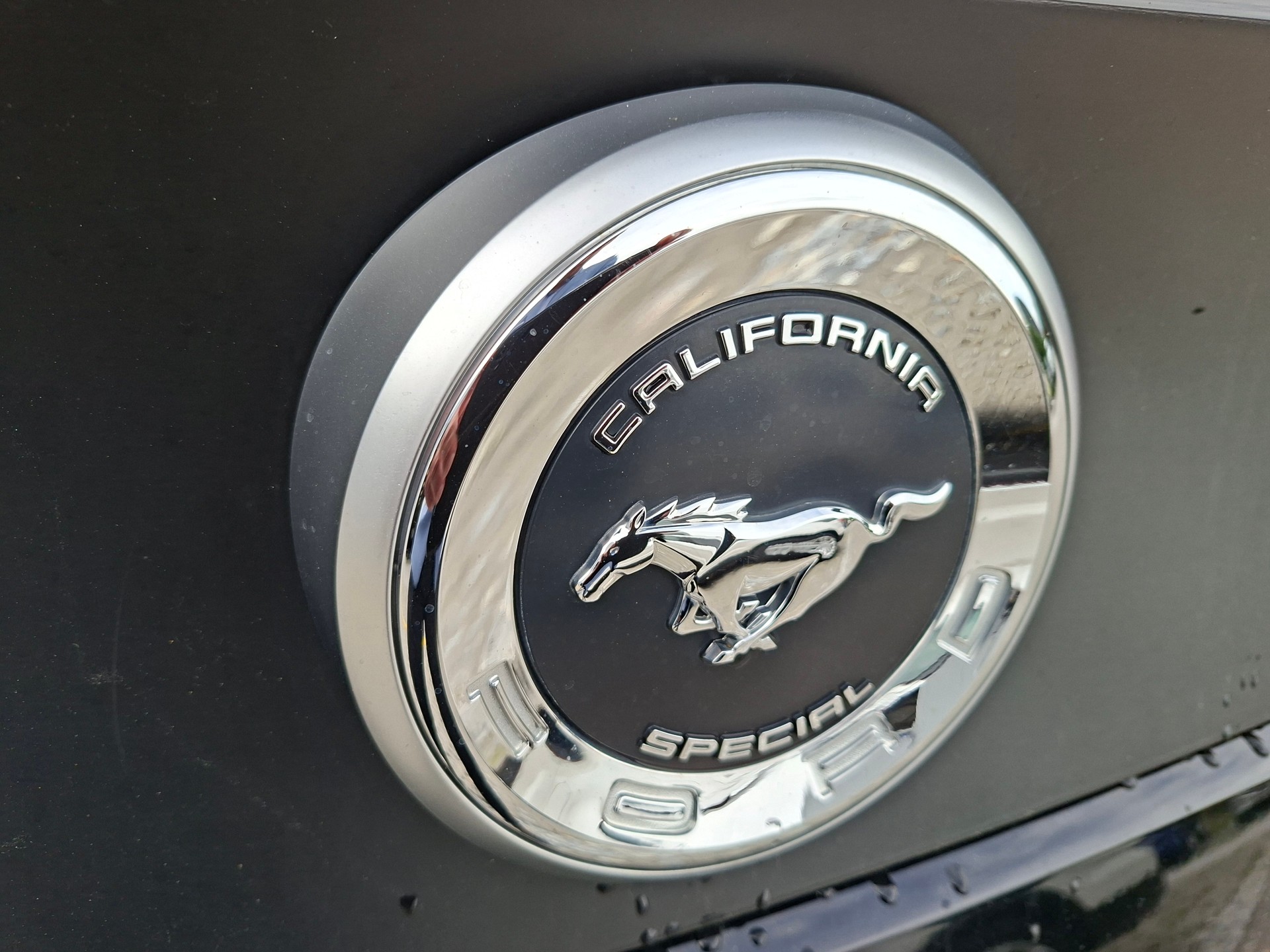 FORD MUSTANG-image-10