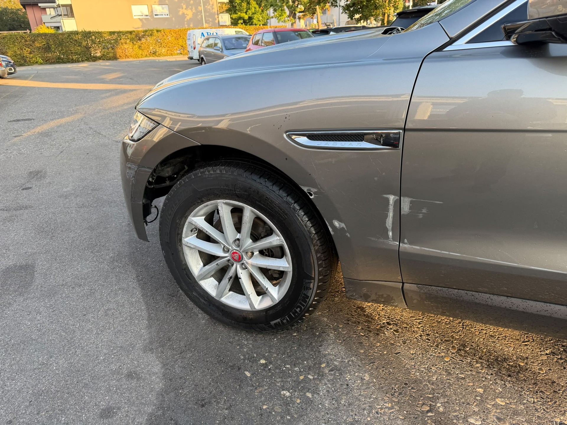 JAGUAR F-Pace 25t 2.0 Portfolio AWD Automatik-image-8