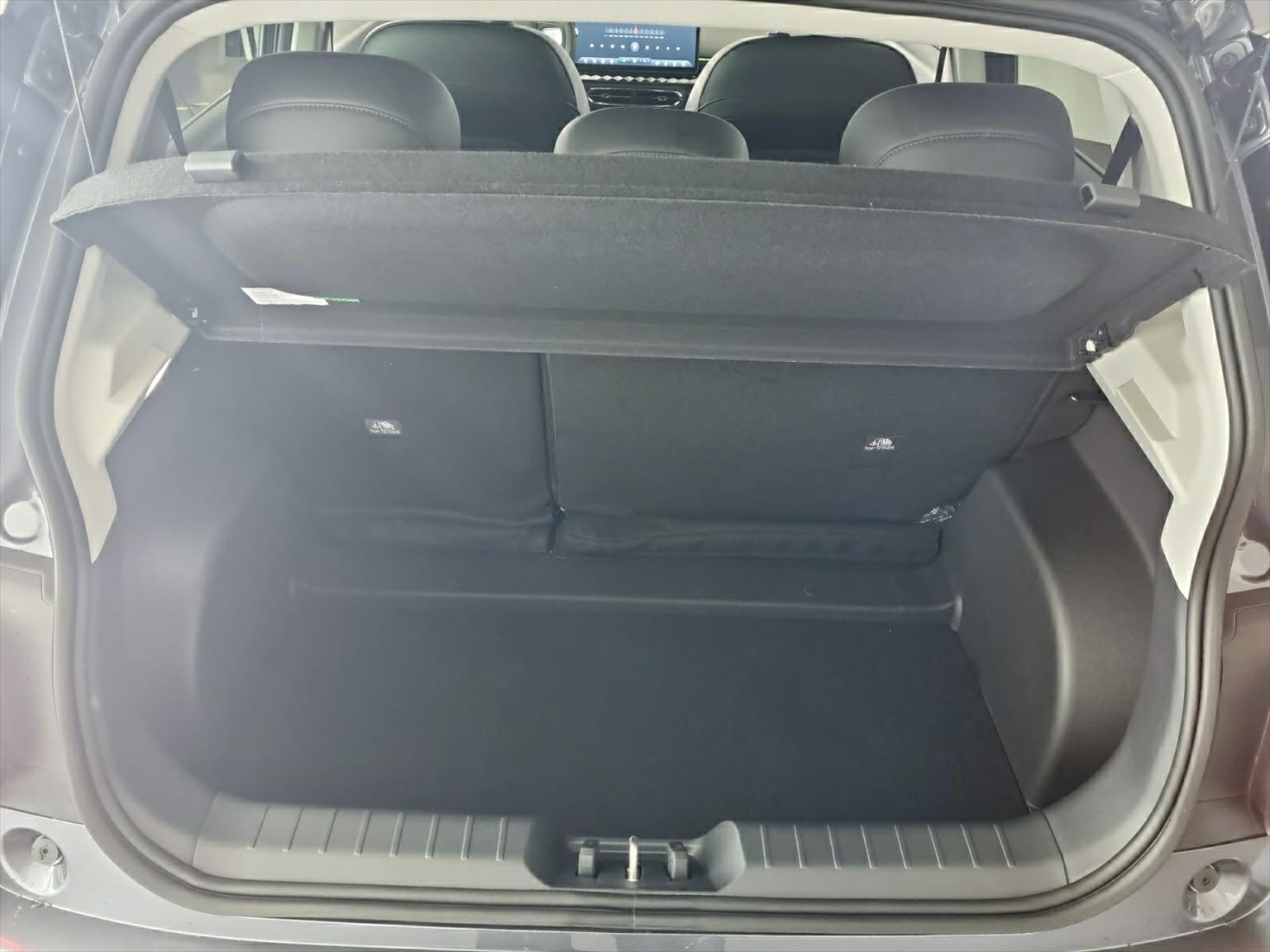 JAC E30X Elektro 51 kWh 374km Reichweite-image-8