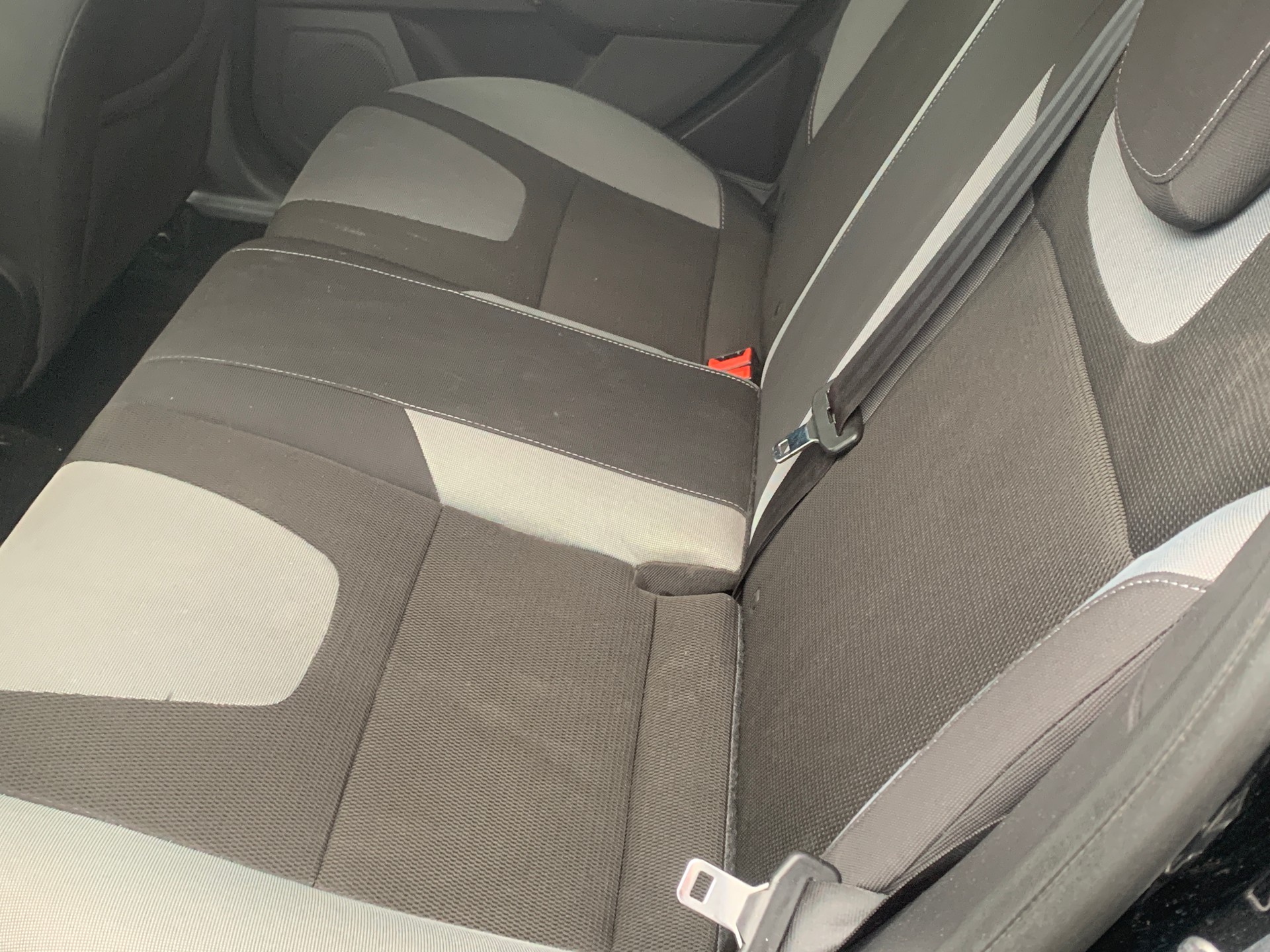 FORD Focus 1.0 SCTi Carving-image-3