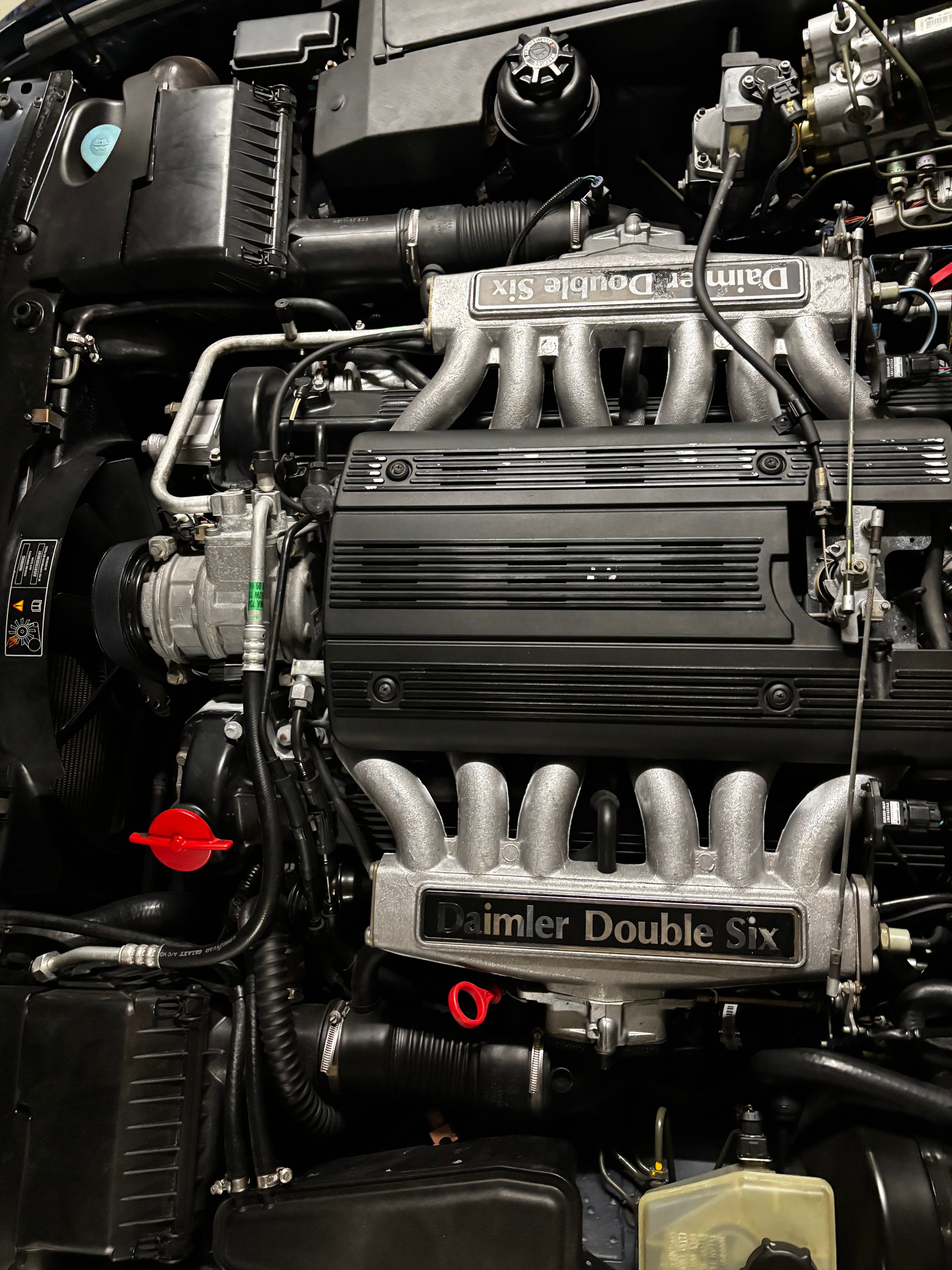 JAGUAR Double Six-image-1