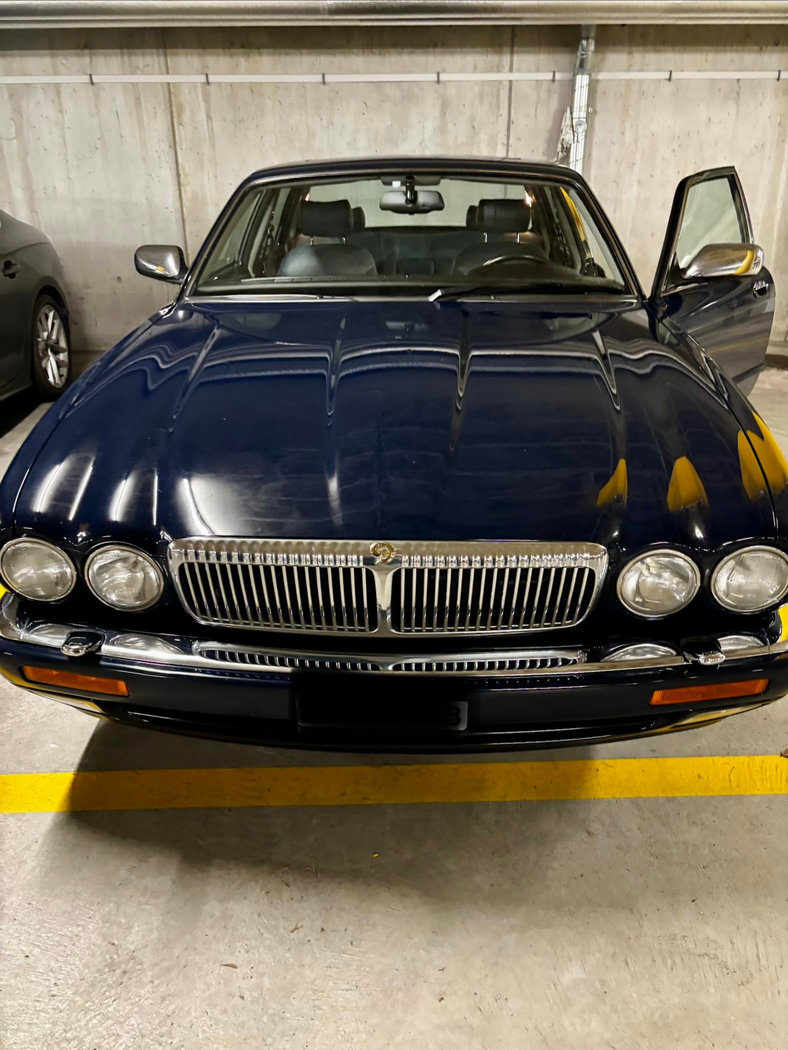 JAGUAR Double Six-image-2