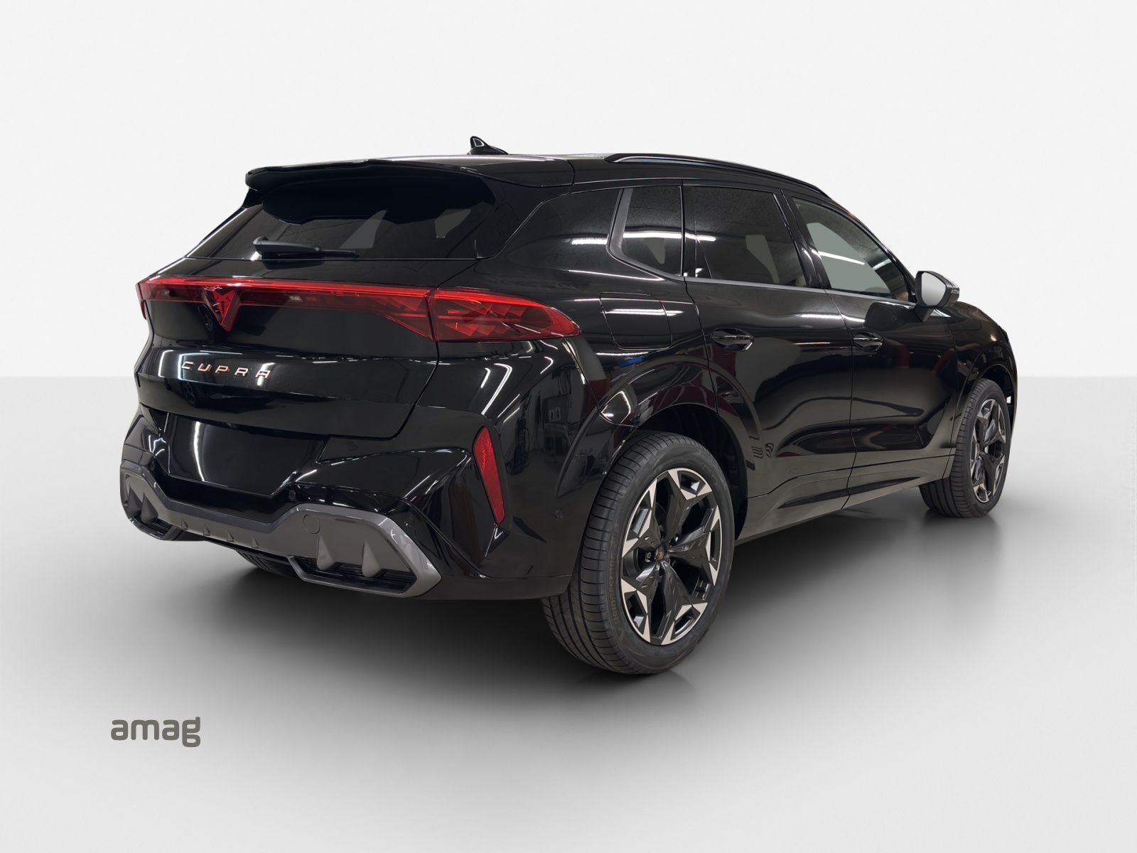CUPRA Terramar 2.0 TSI DSG 4Drive-image-4