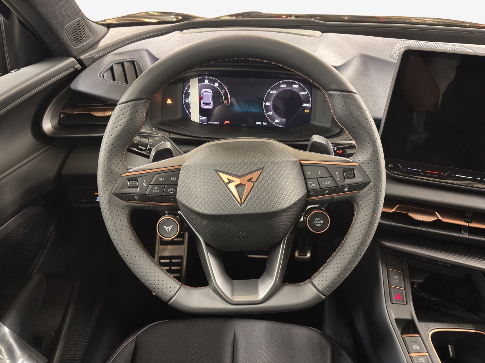 CUPRA Terramar 2.0 TSI DSG 4Drive-image-9