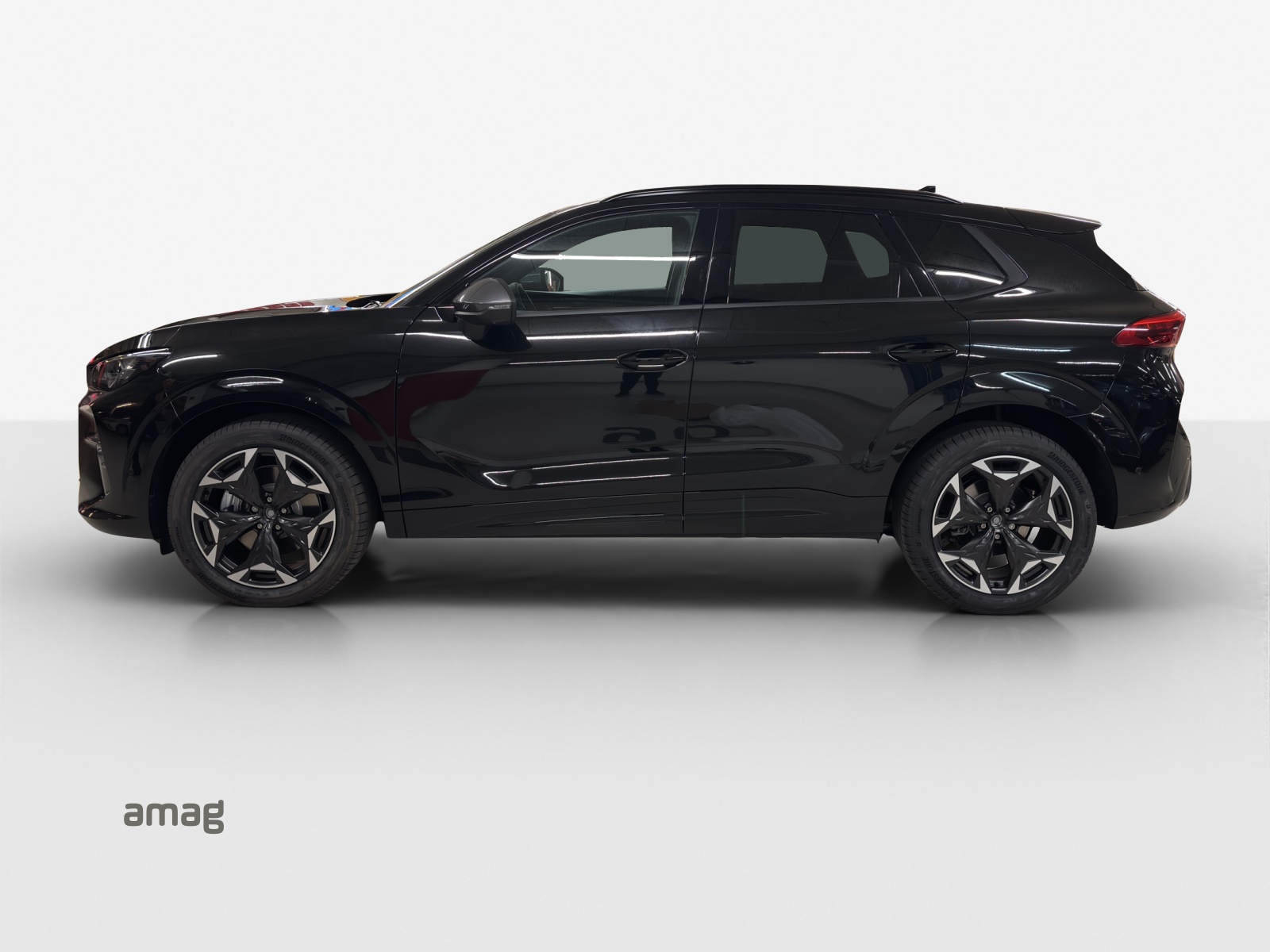 CUPRA Terramar 2.0 TSI DSG 4Drive-showroom-element-1