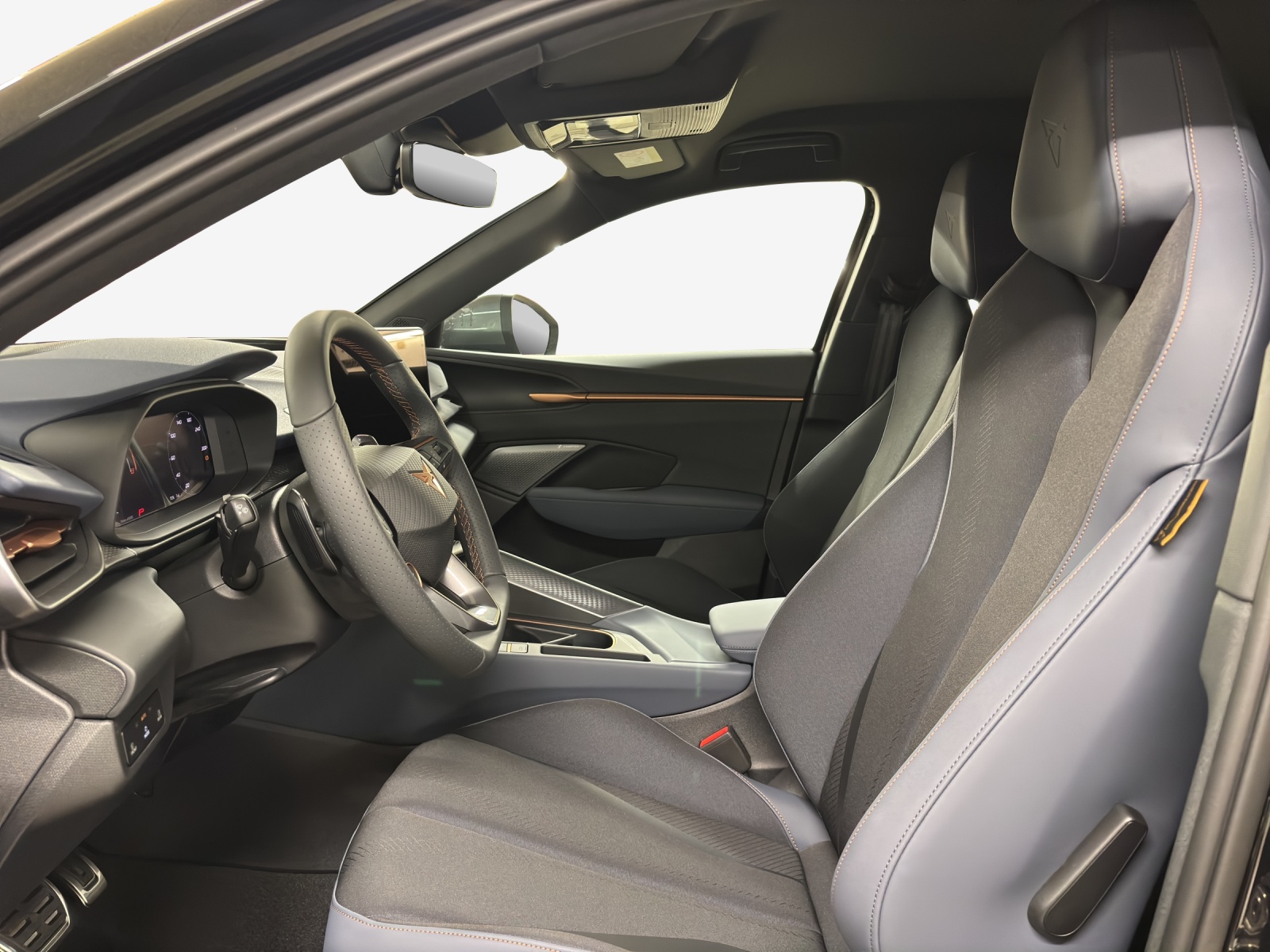 CUPRA Terramar 2.0 TSI DSG 4Drive-image-7