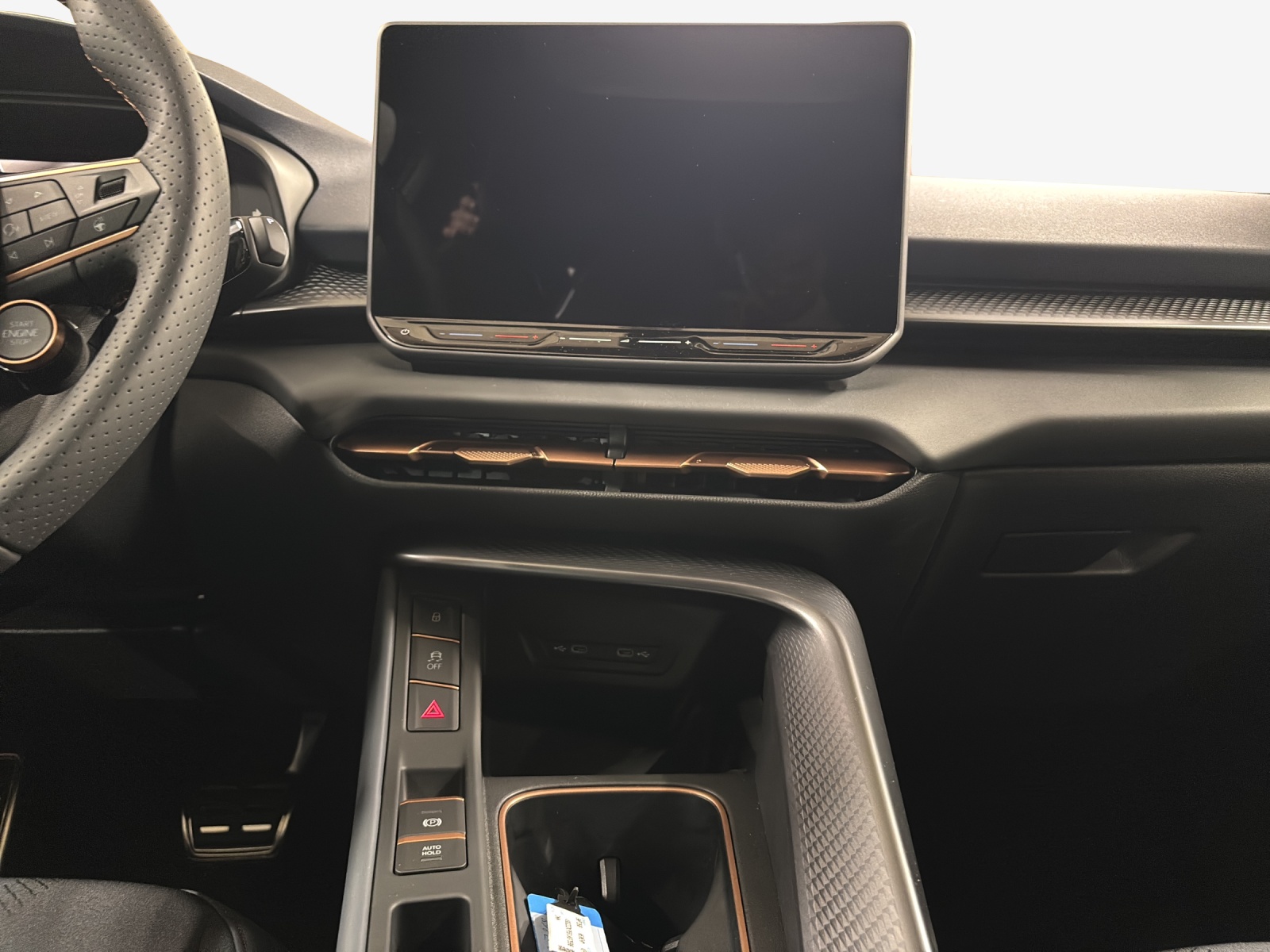 CUPRA Terramar 2.0 TSI DSG 4Drive-image-10