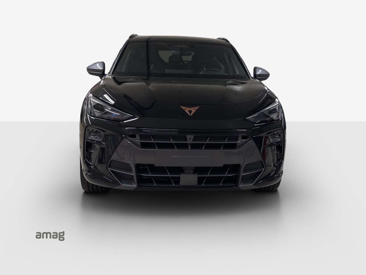 CUPRA Terramar 2.0 TSI DSG 4Drive-image-6