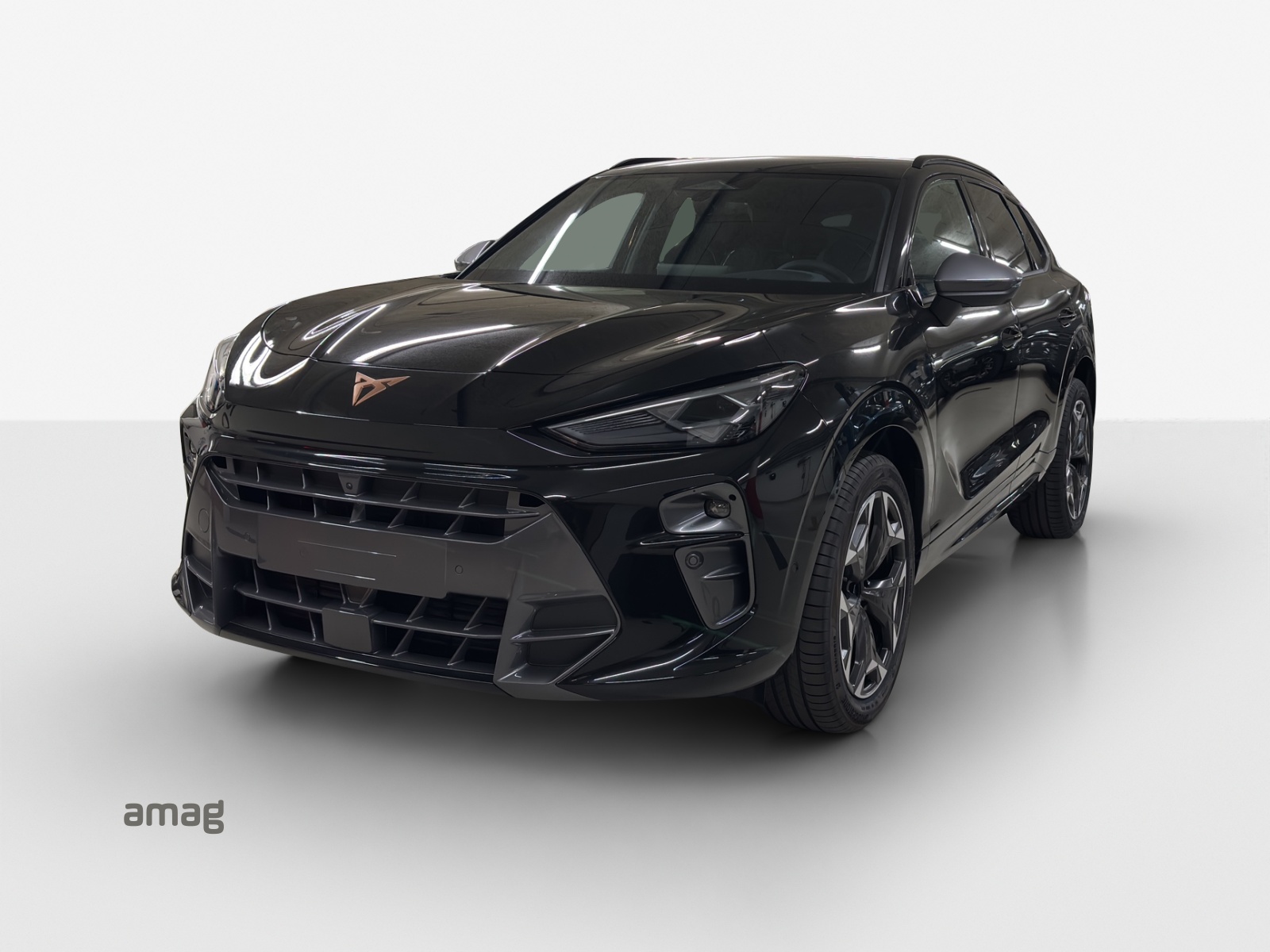 CUPRA Terramar 2.0 TSI DSG 4Drive