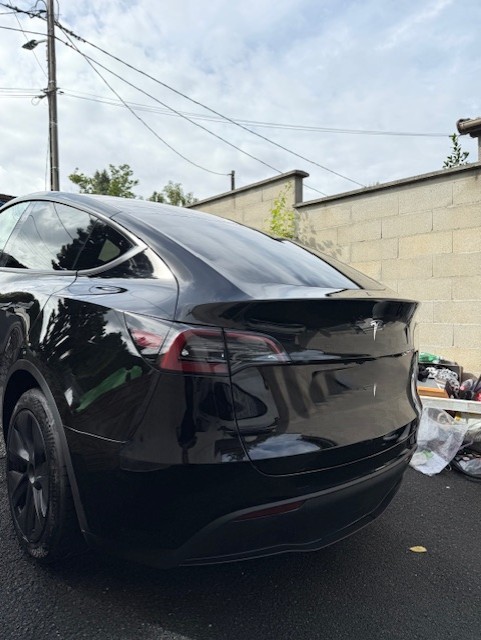 TESLA Model Y RWD-image-1