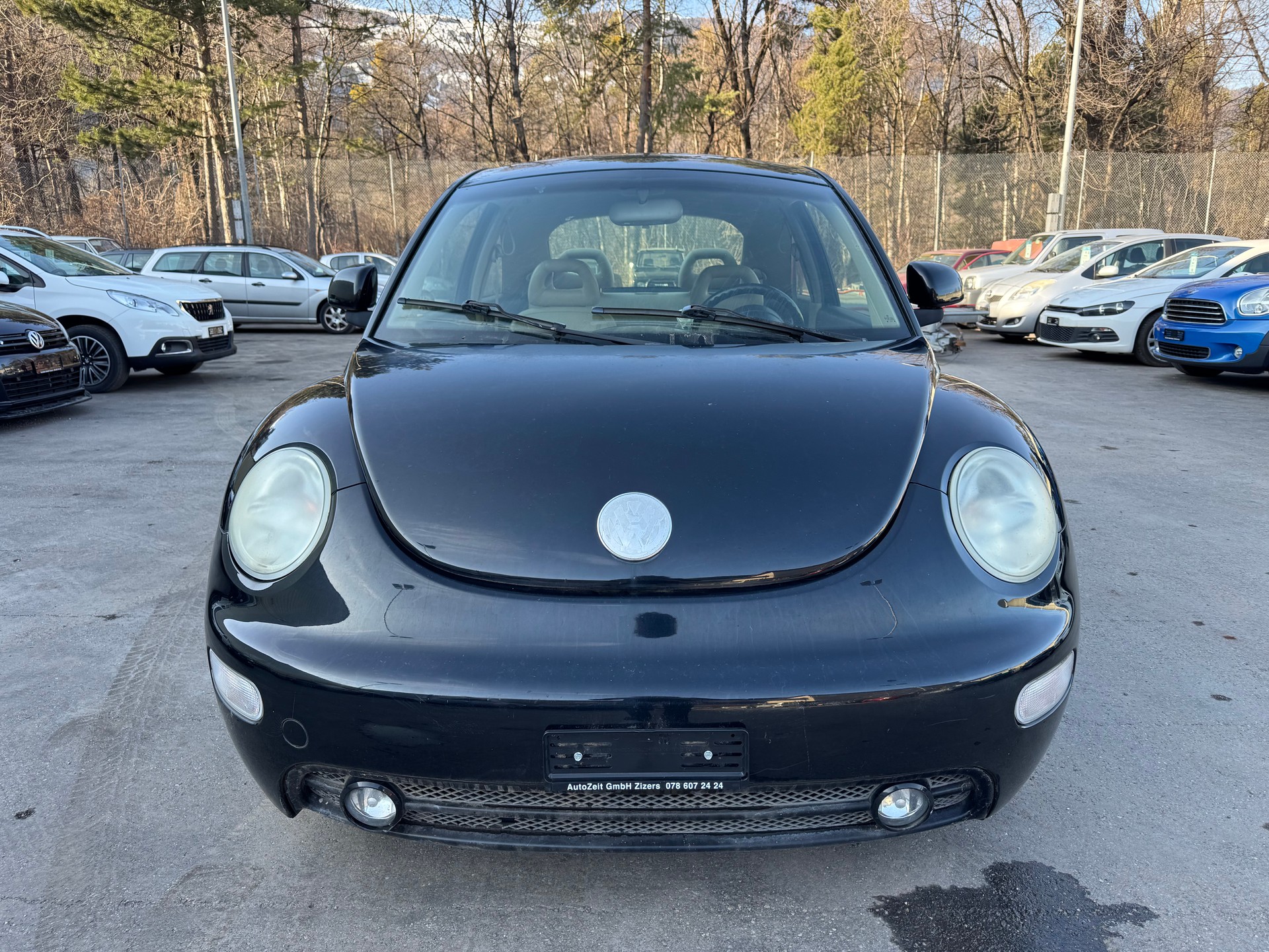 VW Beetle 2.0-image-0