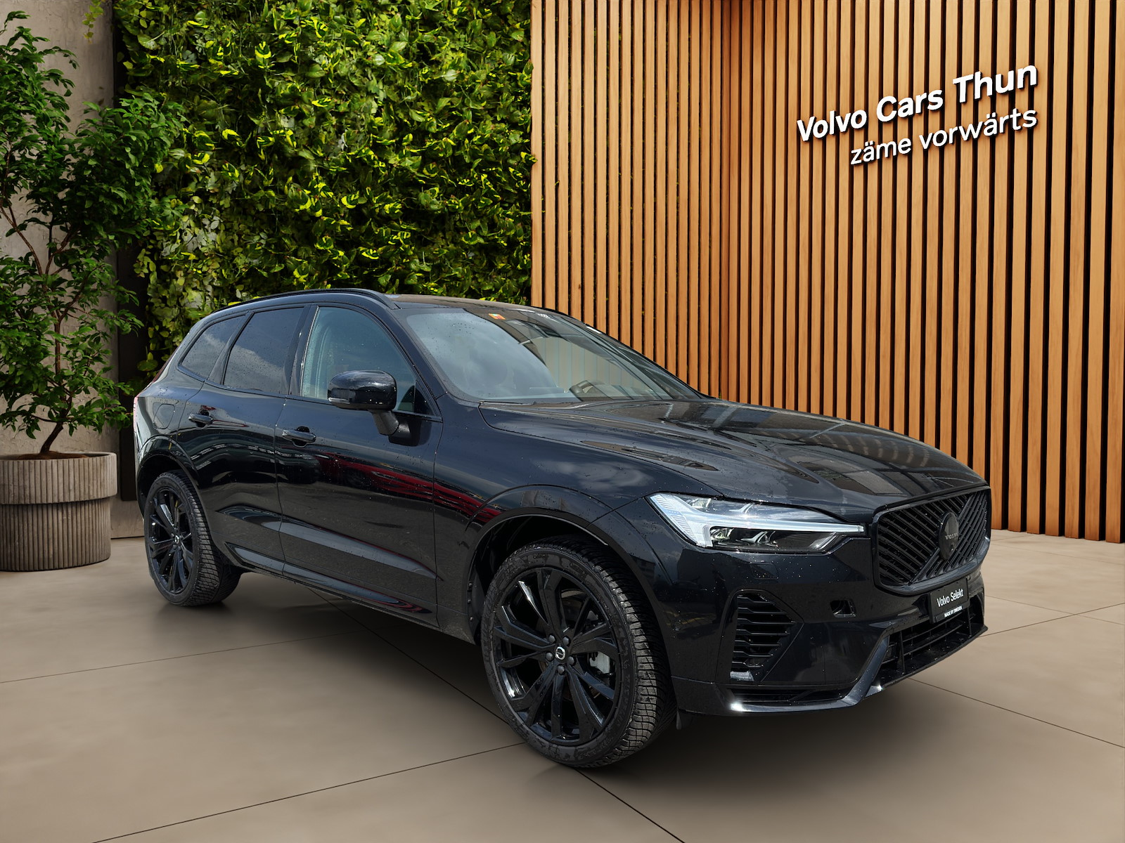 VOLVO XC60 2.0 T8 TE Black Edition eAWD-image-2