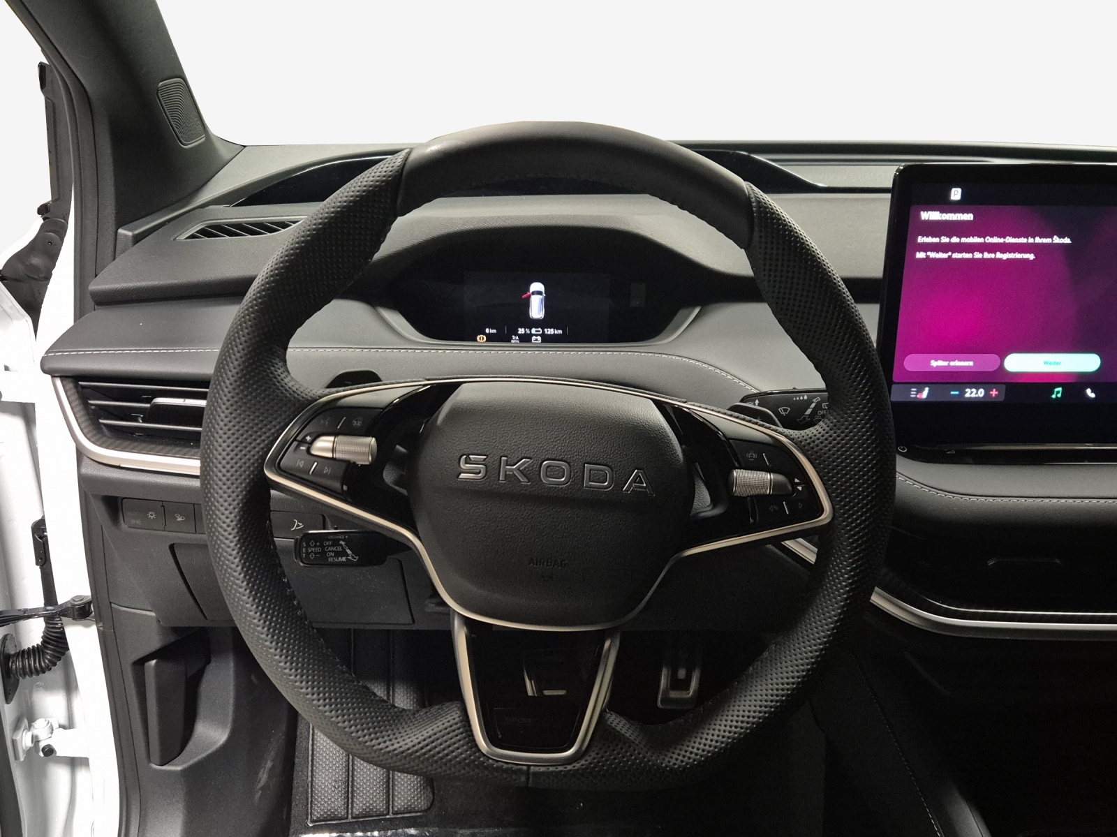 SKODA Enyaq 85x Sportline 4x4-image-9