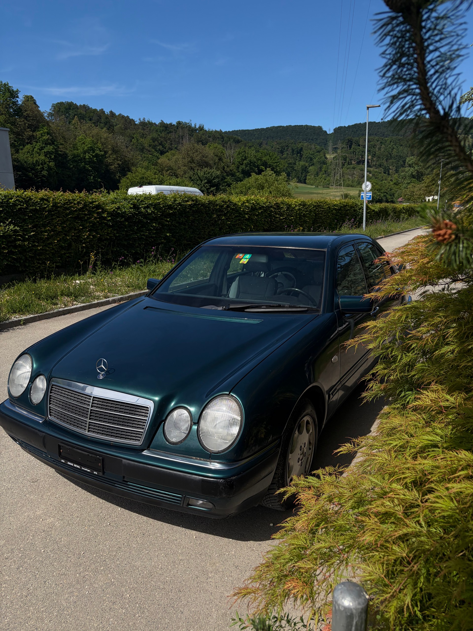 MERCEDES-BENZ E 320 Elégance 4-Matic Automatic-image-5
