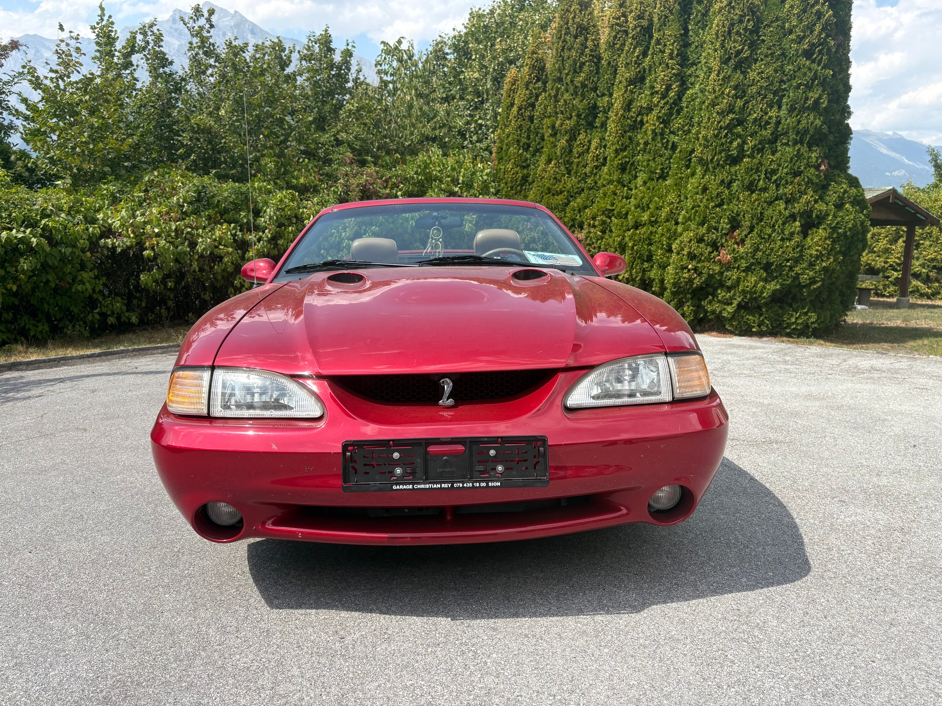 FORD COBRA STV 4.6 i-image-0