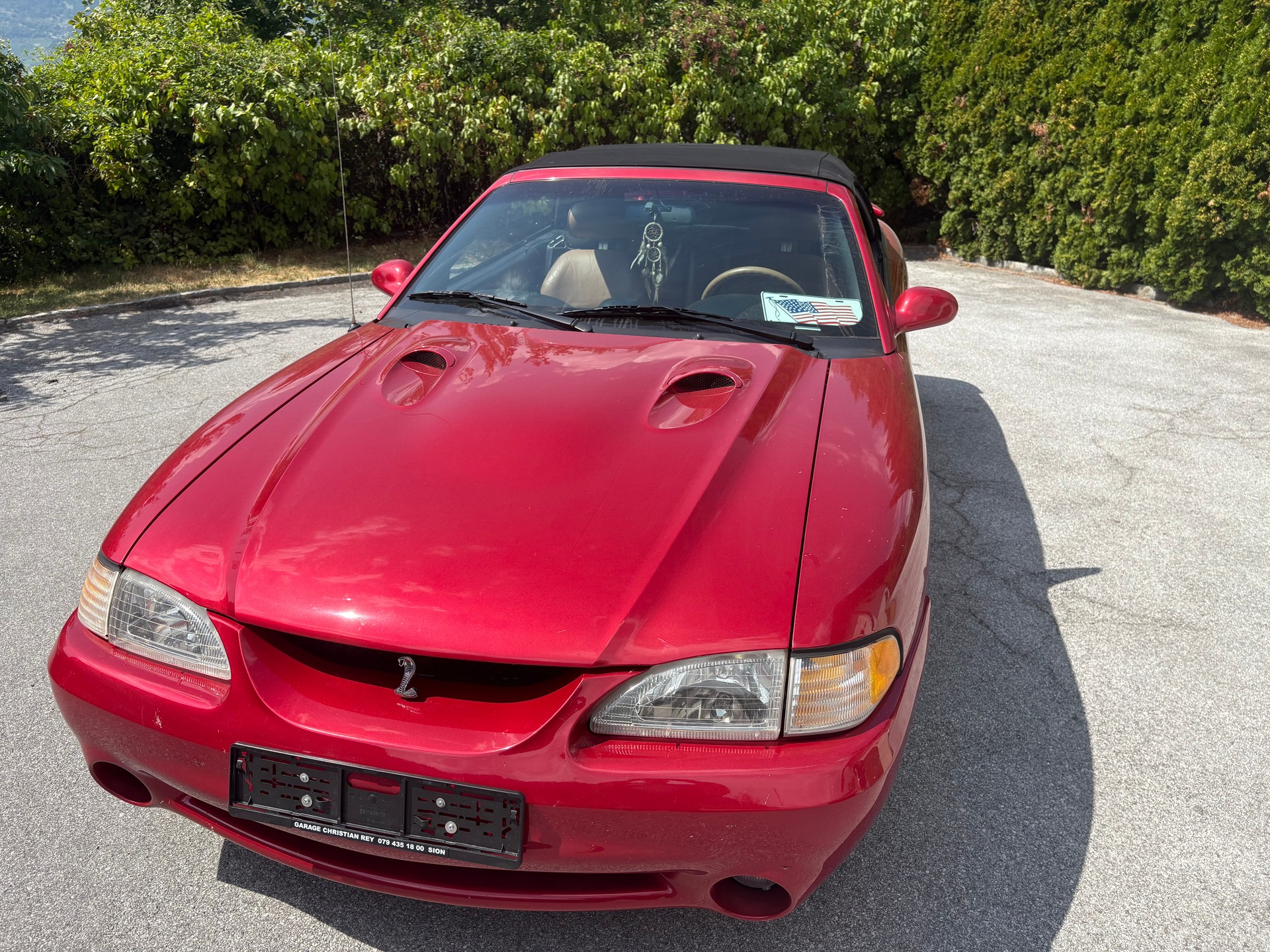 FORD COBRA STV 4.6 i-image-9