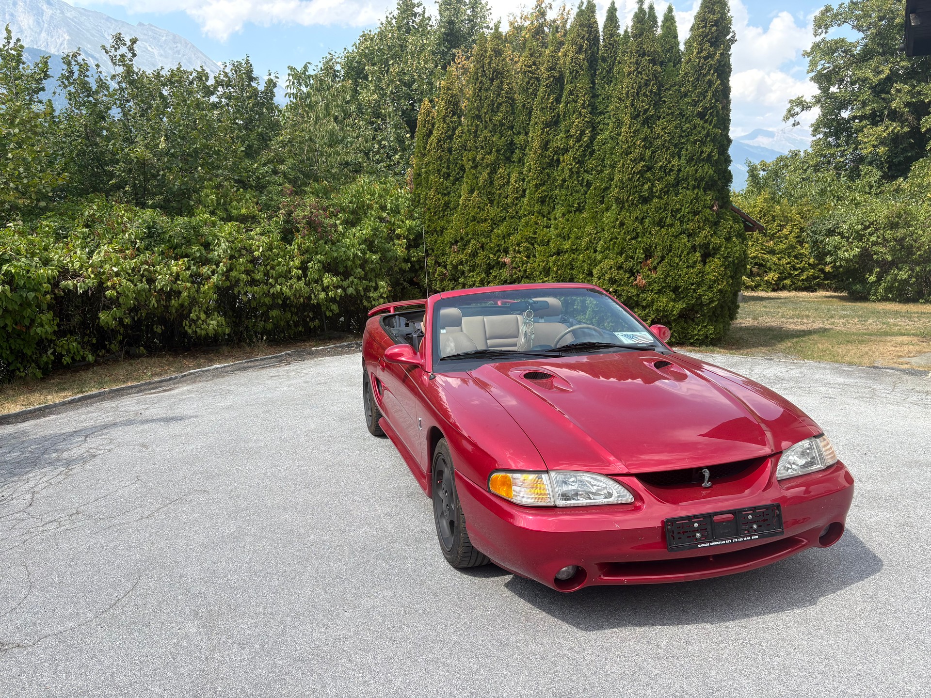 FORD COBRA STV 4.6 i-image-4