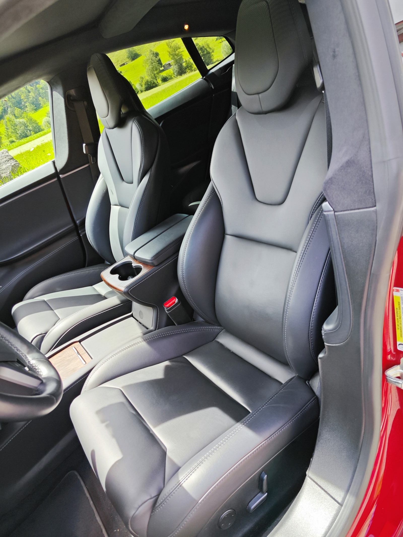 TESLA Model S 100 D-image-3