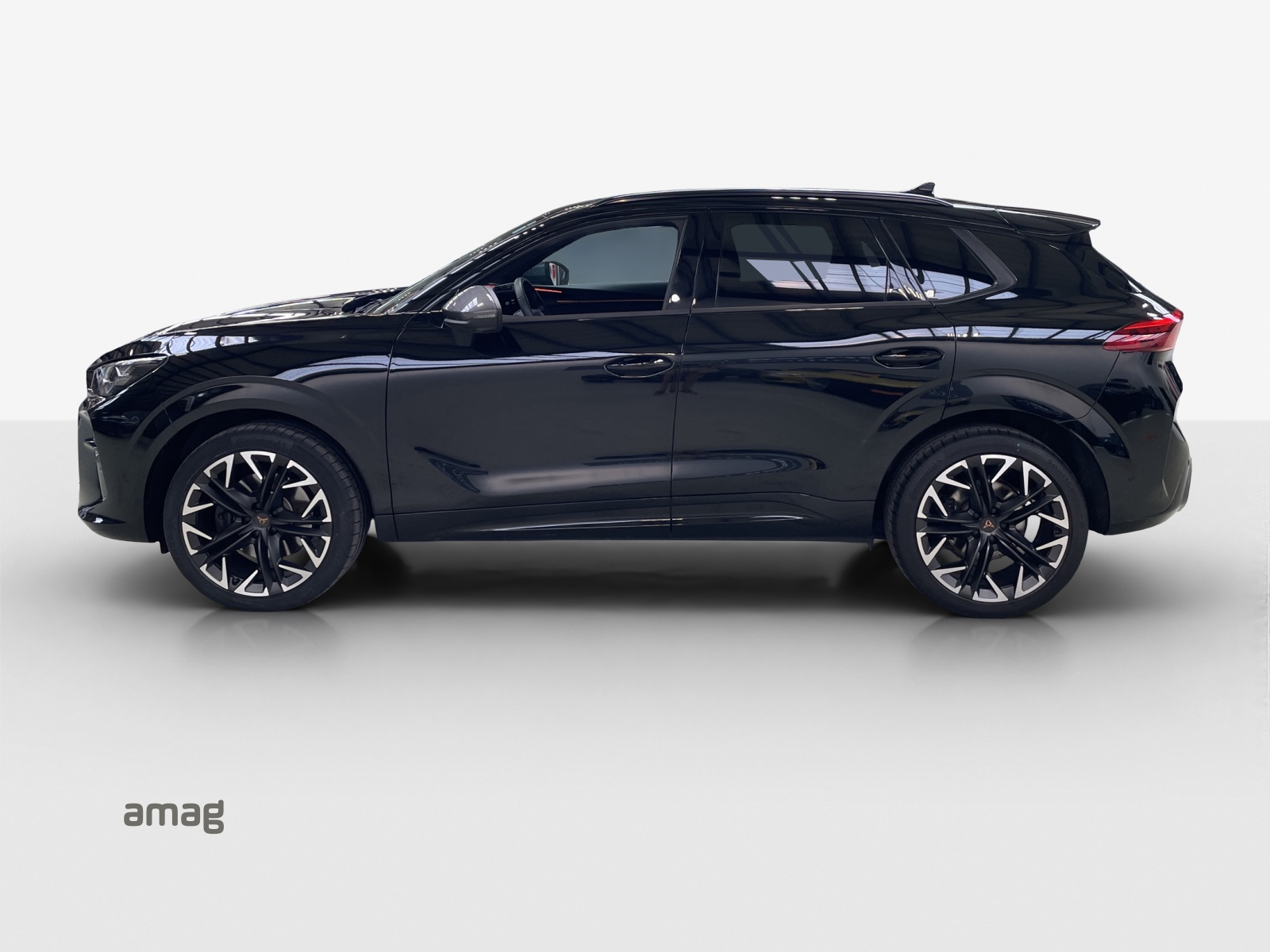 CUPRA Terramar 2.0 TSI DSG 4Drive VZ-image-1