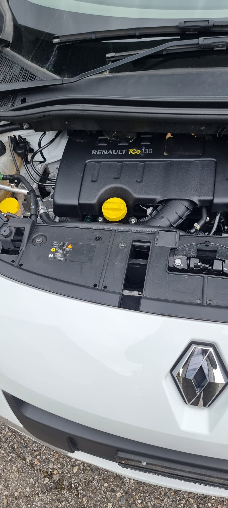 RENAULT Scénic 1.4 16V Turbo Privilège-image-13