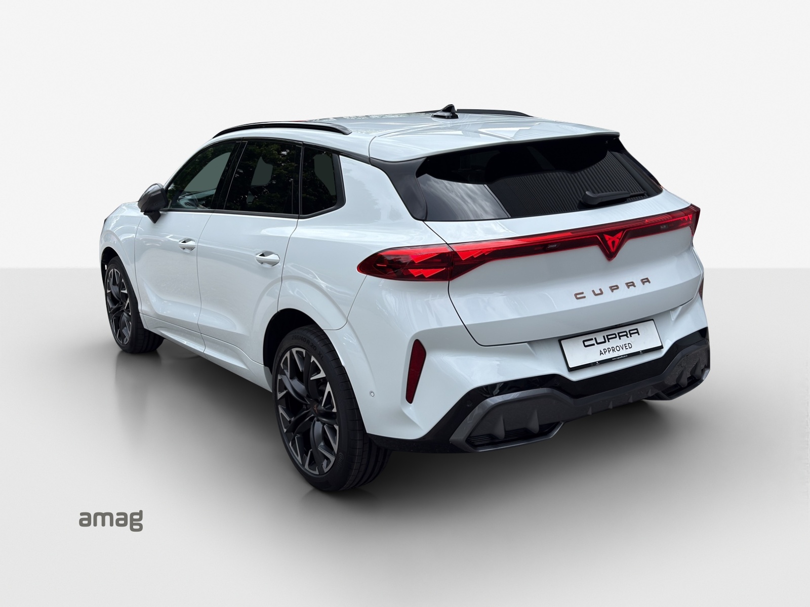 CUPRA Terramar 2.0 TSI DSG 4Drive VZ-image-2
