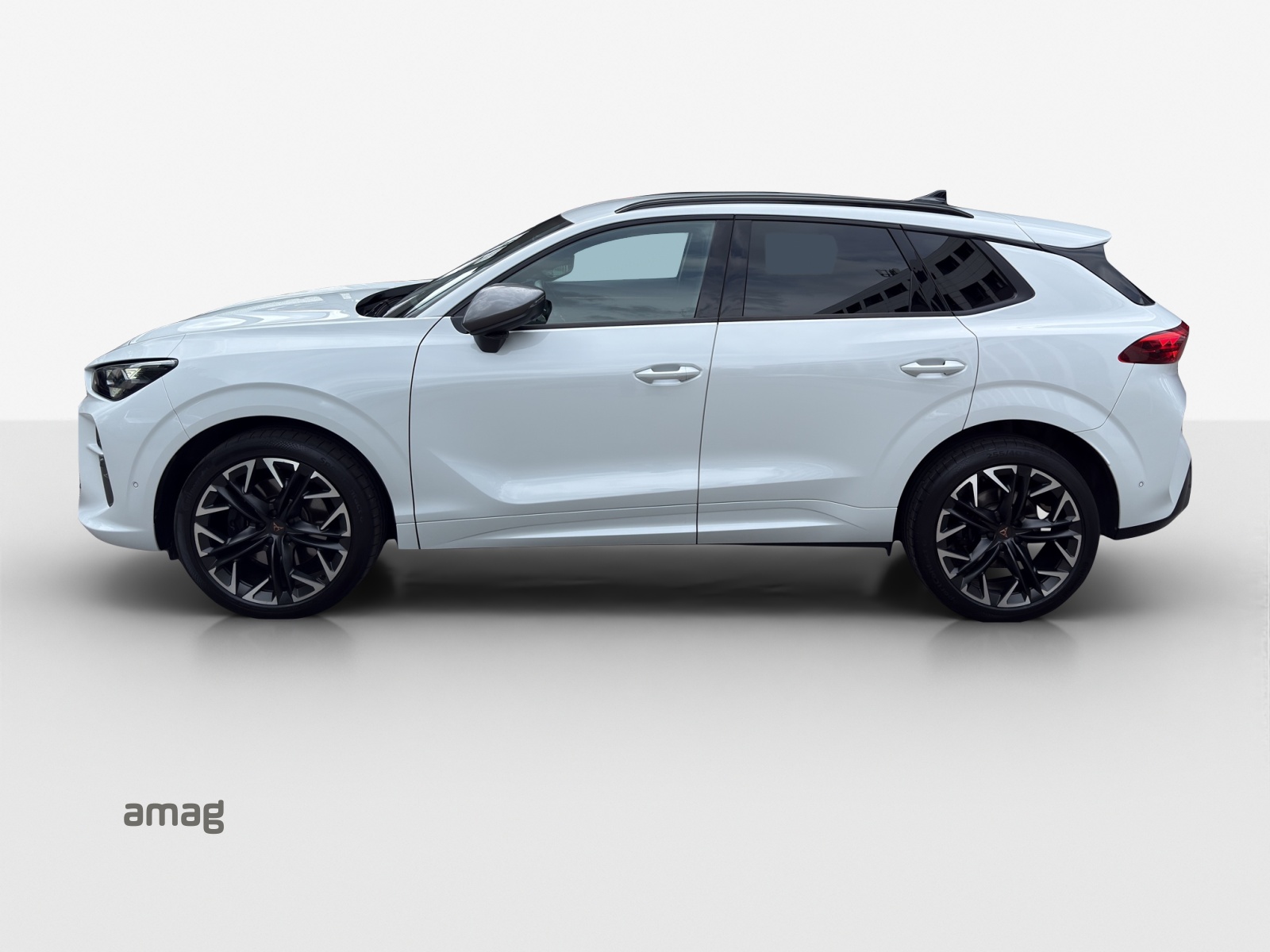 CUPRA Terramar 2.0 TSI DSG 4Drive VZ-image-1