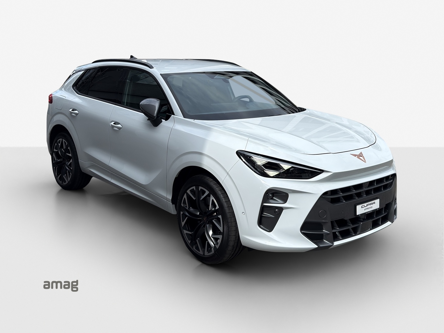 CUPRA Terramar 2.0 TSI DSG 4Drive VZ-image-5