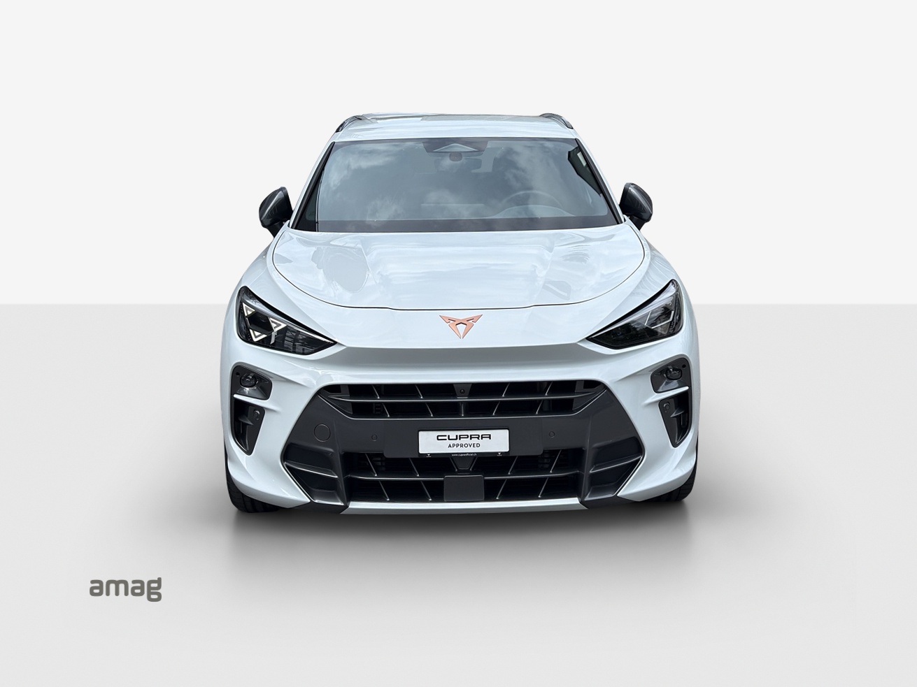 CUPRA Terramar 2.0 TSI DSG 4Drive VZ-image-6