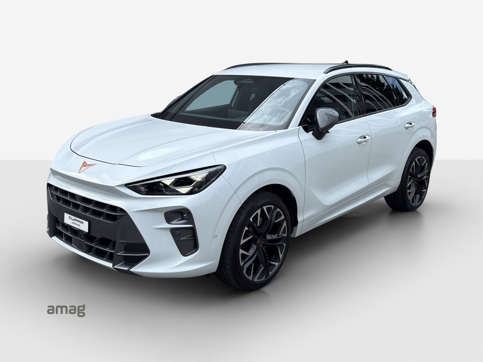CUPRA Terramar 2.0 TSI DSG 4Drive VZ-image-0