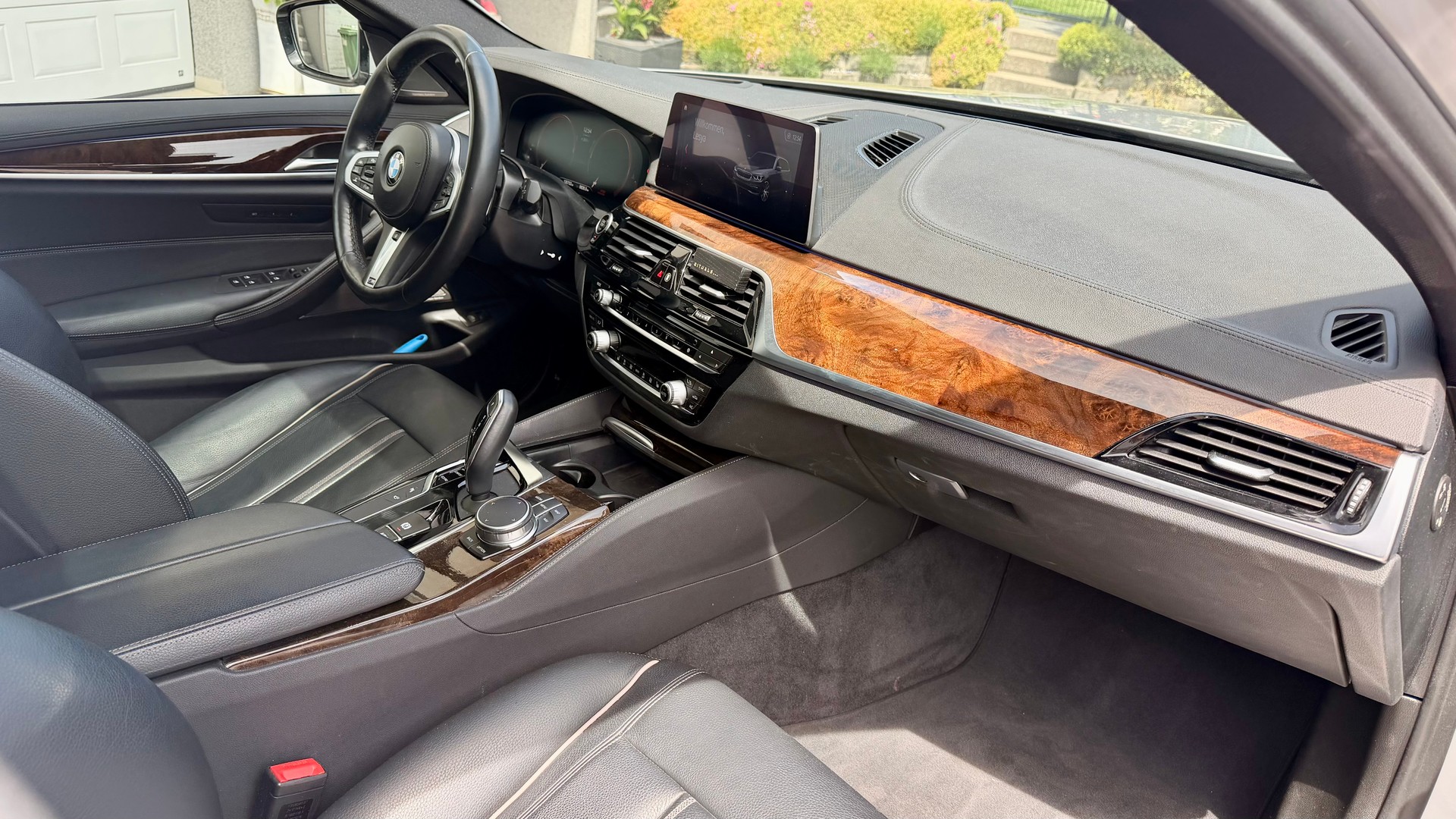 BMW 530i xDrive-image-12