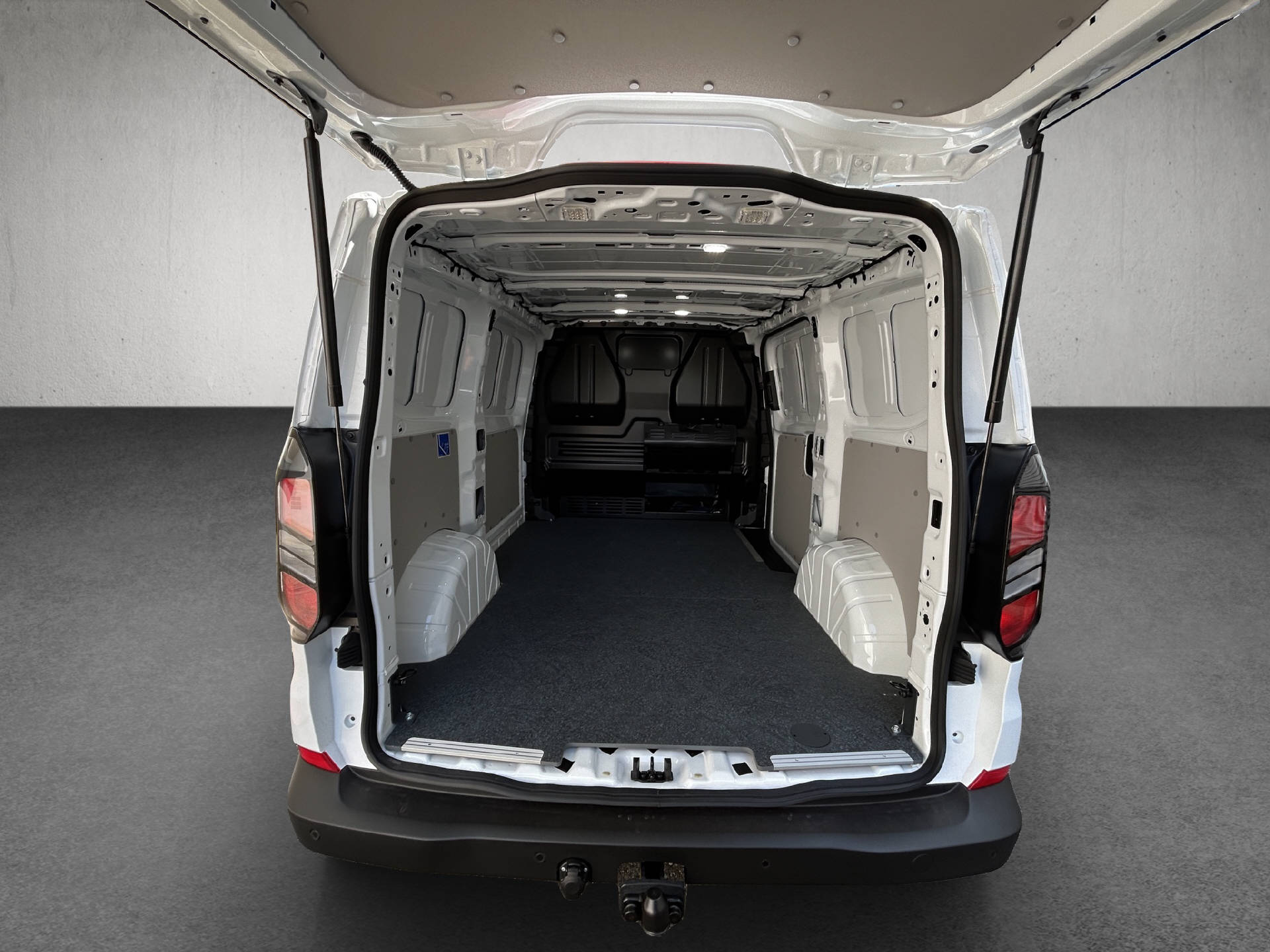 FORD Transit Custom Van 320 L1 2.5 Duratec 233 Trend PHEV-image-20
