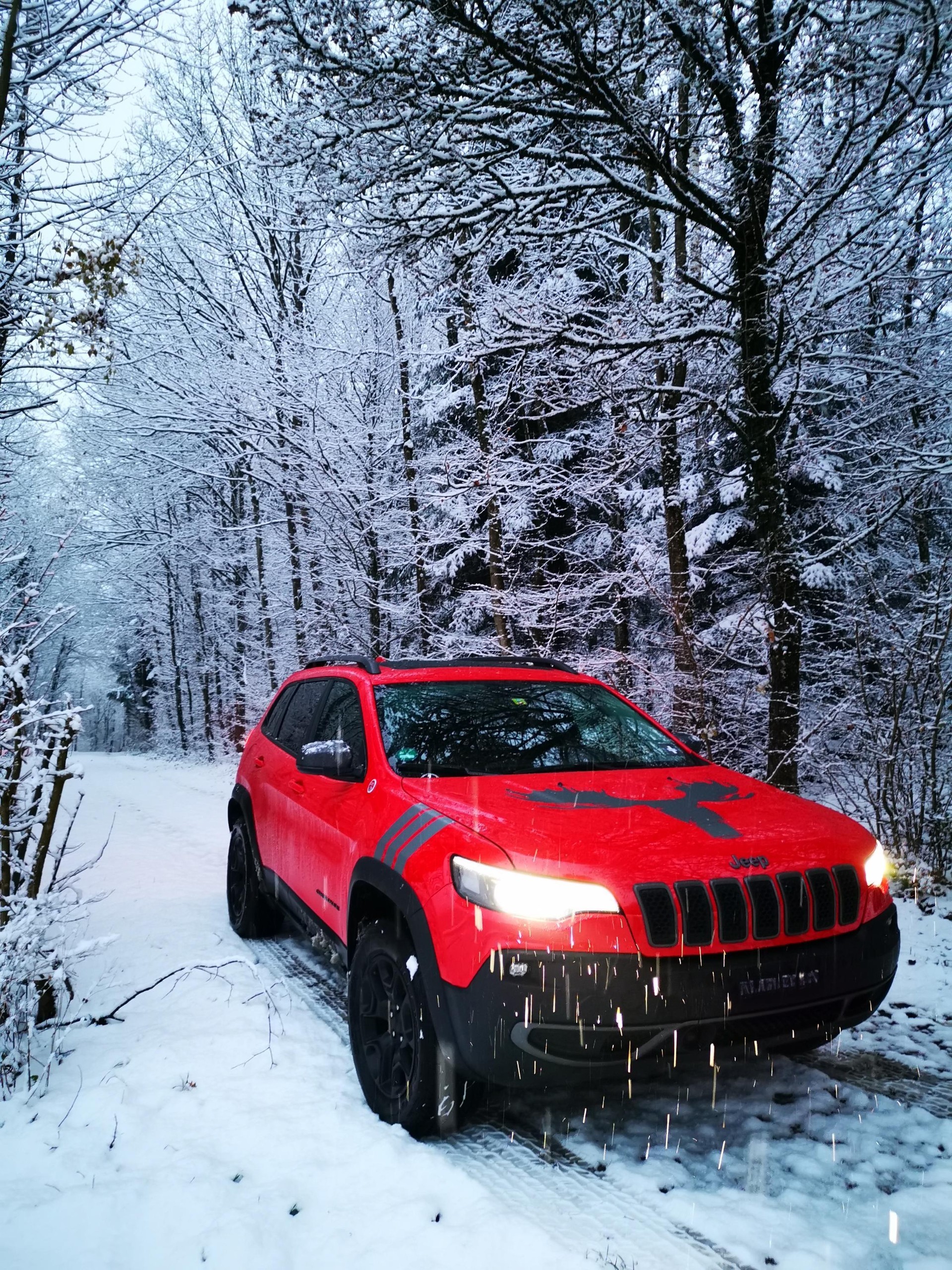 JEEP Cherokee 2.0 Trailhawk AWD Drive Lock 9ATX-image-1
