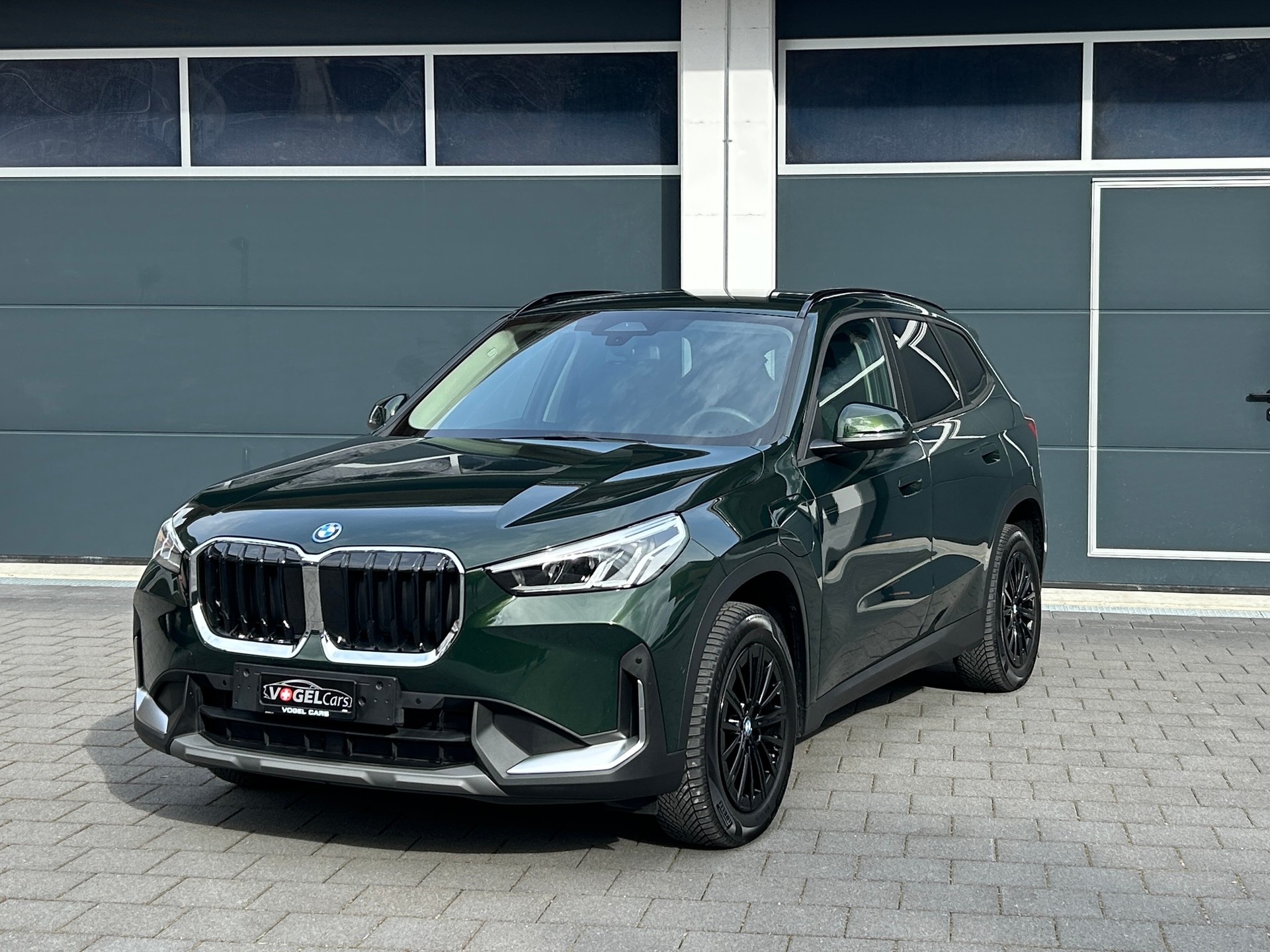 BMW X1 xDrive 25e-image-2