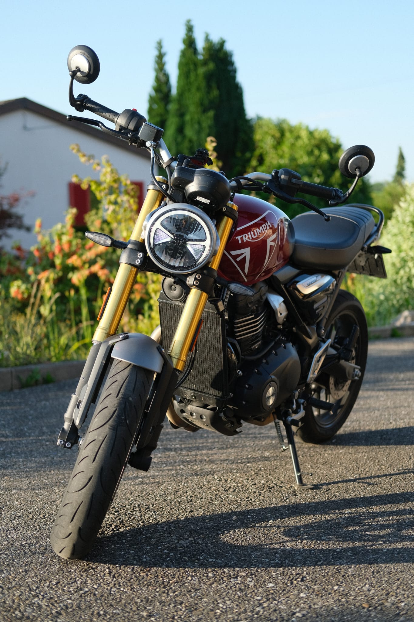 TRIUMPH Speed 400