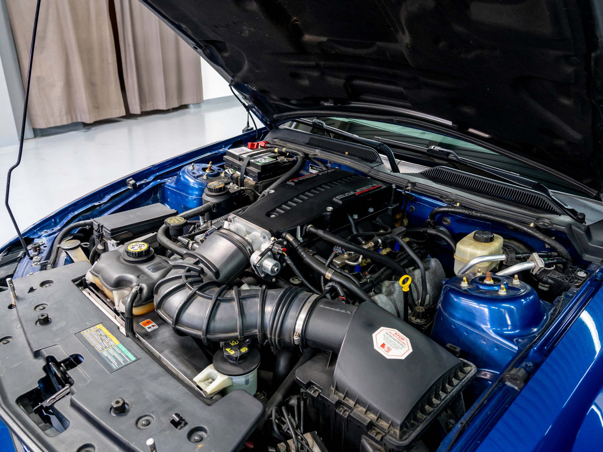 FORD Saleen H281 DG-image-28