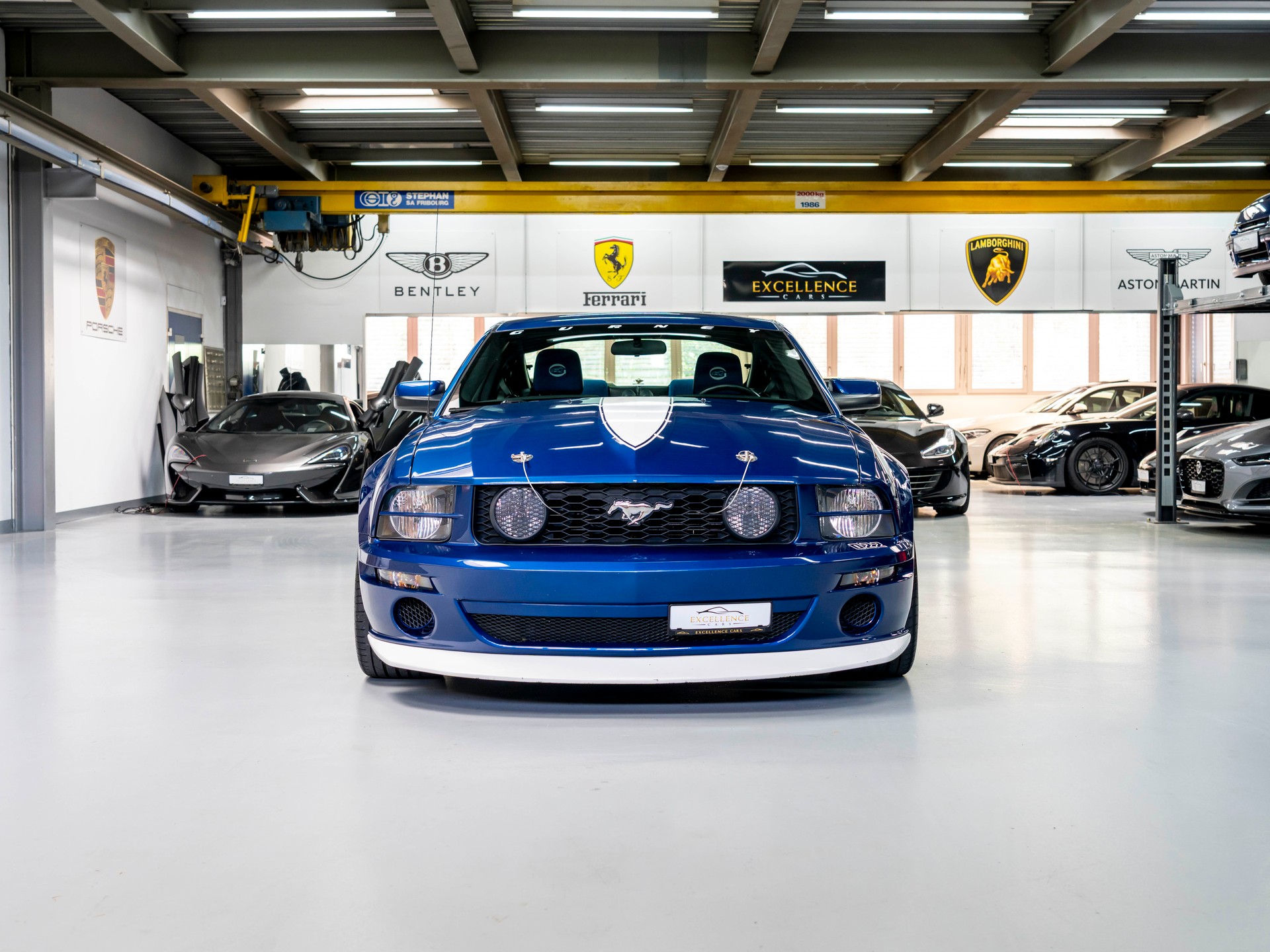 FORD Saleen H281 DG-showroom-element-1