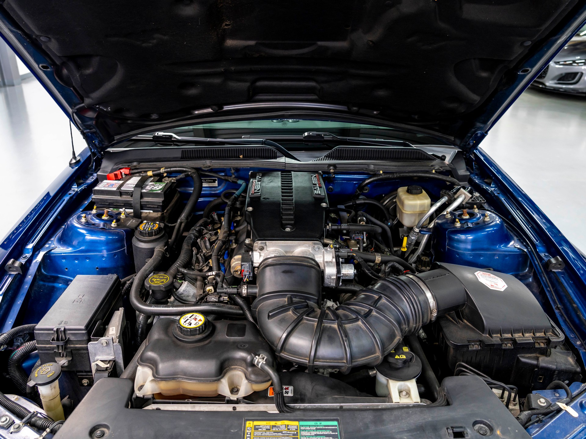 FORD Saleen H281 DG-image-27