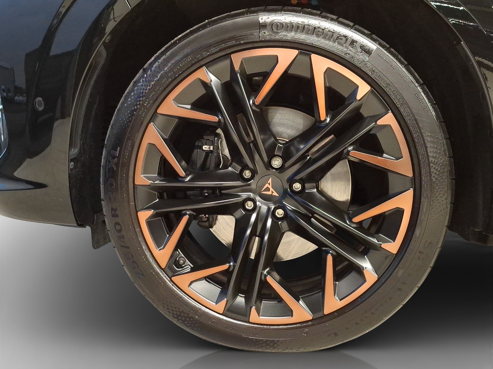 CUPRA Terramar 2.0 TSI DSG 4Drive VZ-image-13