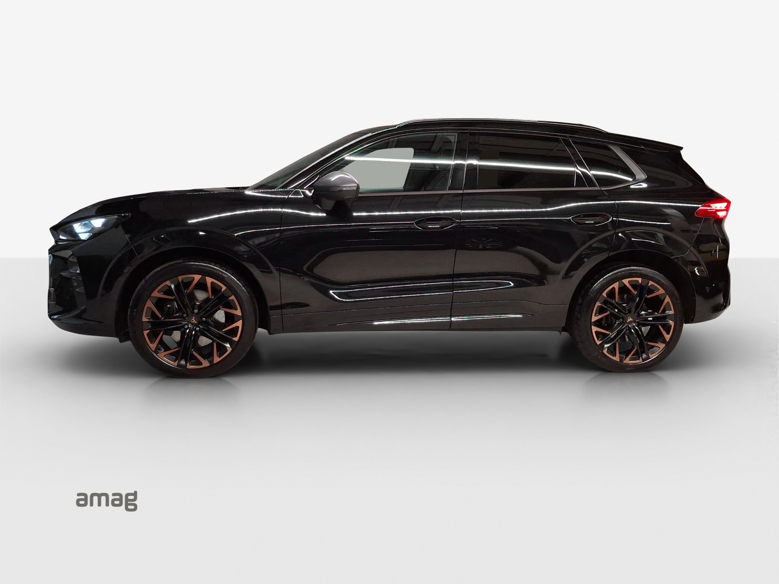 CUPRA Terramar 2.0 TSI DSG 4Drive VZ-showroom-element-1