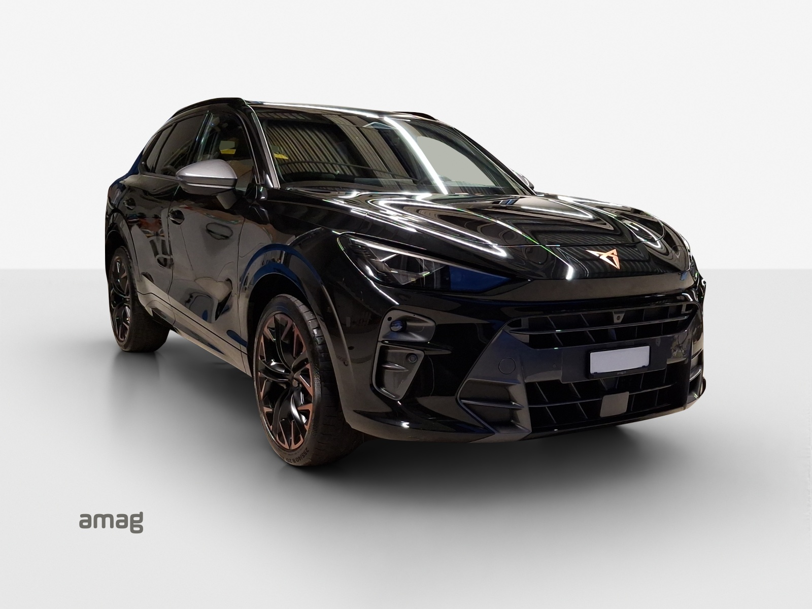 CUPRA Terramar 2.0 TSI DSG 4Drive VZ-image-5